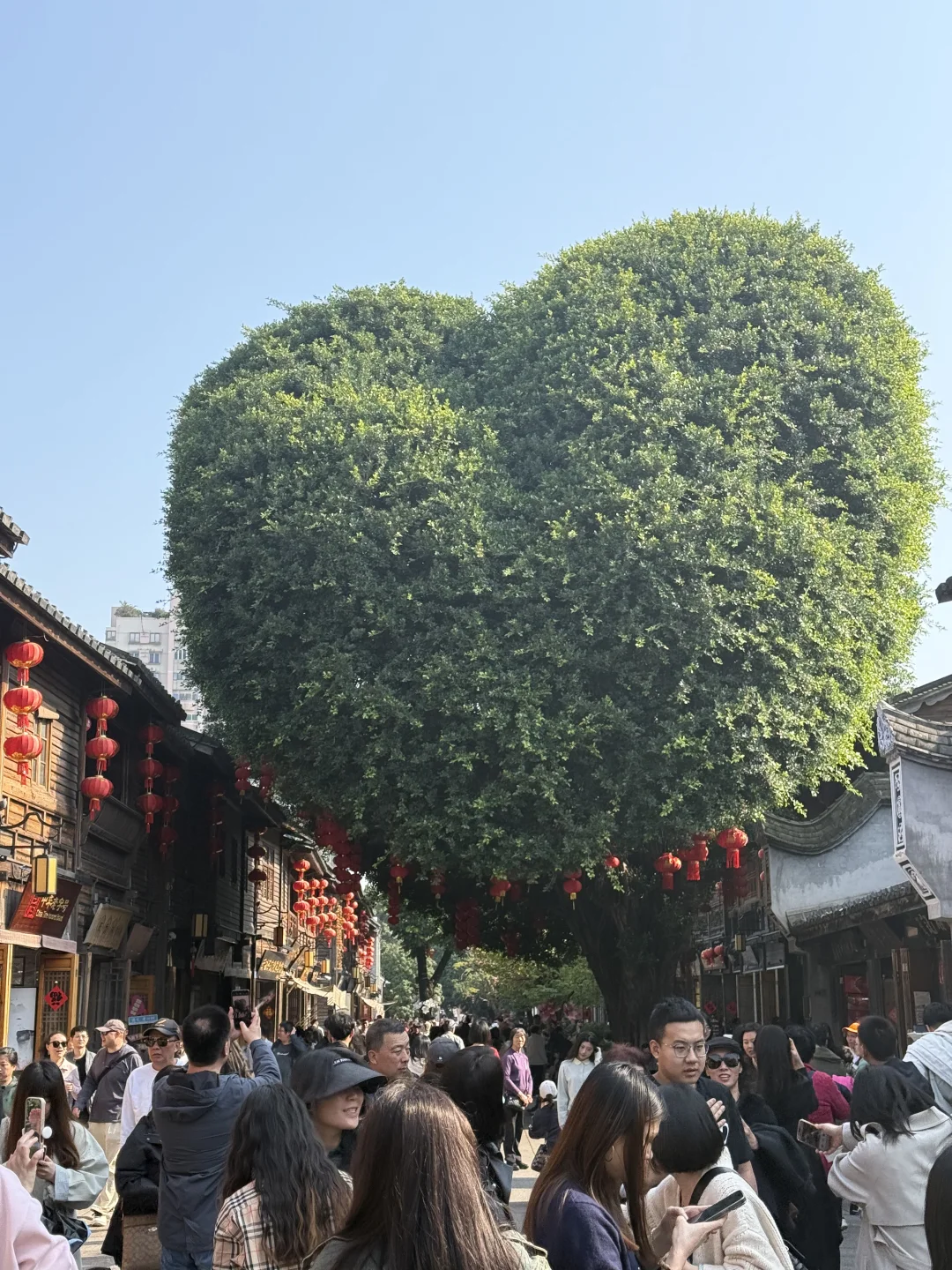 4—5月舒适淡季｜关于福州超详细版旅游攻略