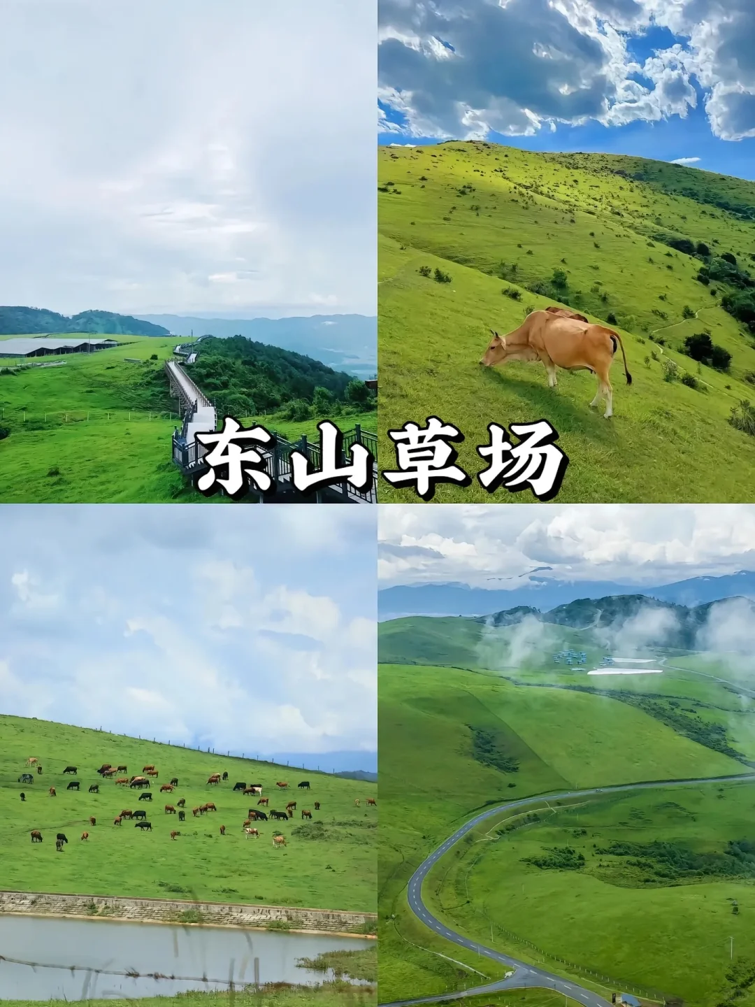 🌟 **腾冲旅游攻略｜人间秘境的小众玩法