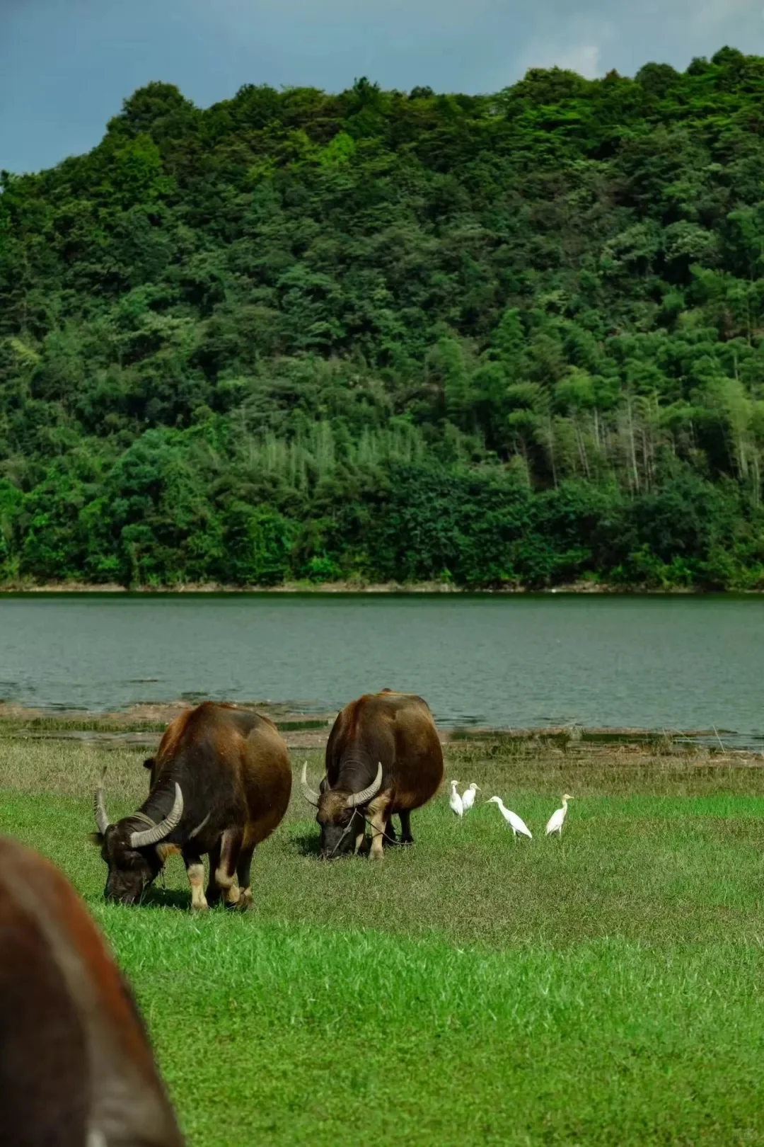 周末去一趟江浙沪版本的阿勒泰-安吉小杭坑