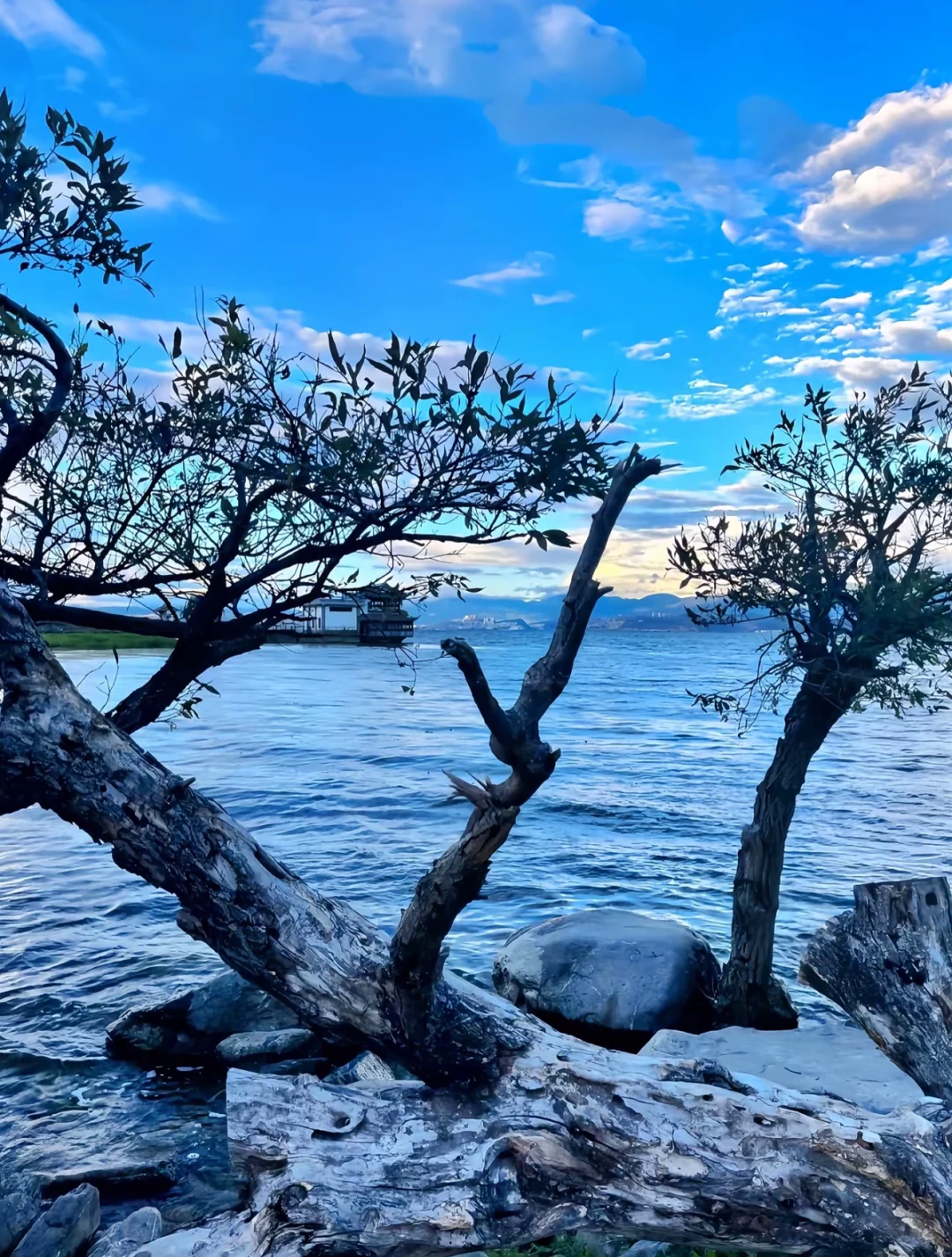 ✈️别再瞎逛！这才是云南的正确打开方式