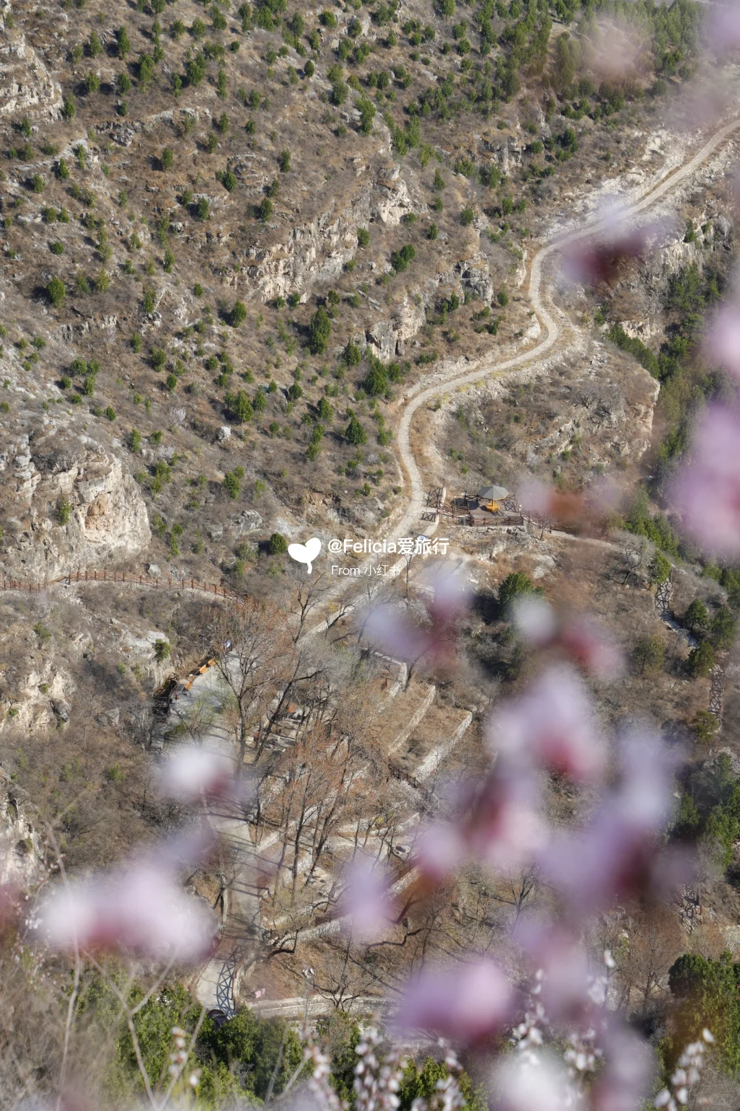 北京中山寺 | 山寺桃花始盛开🌸徒步赏花💯