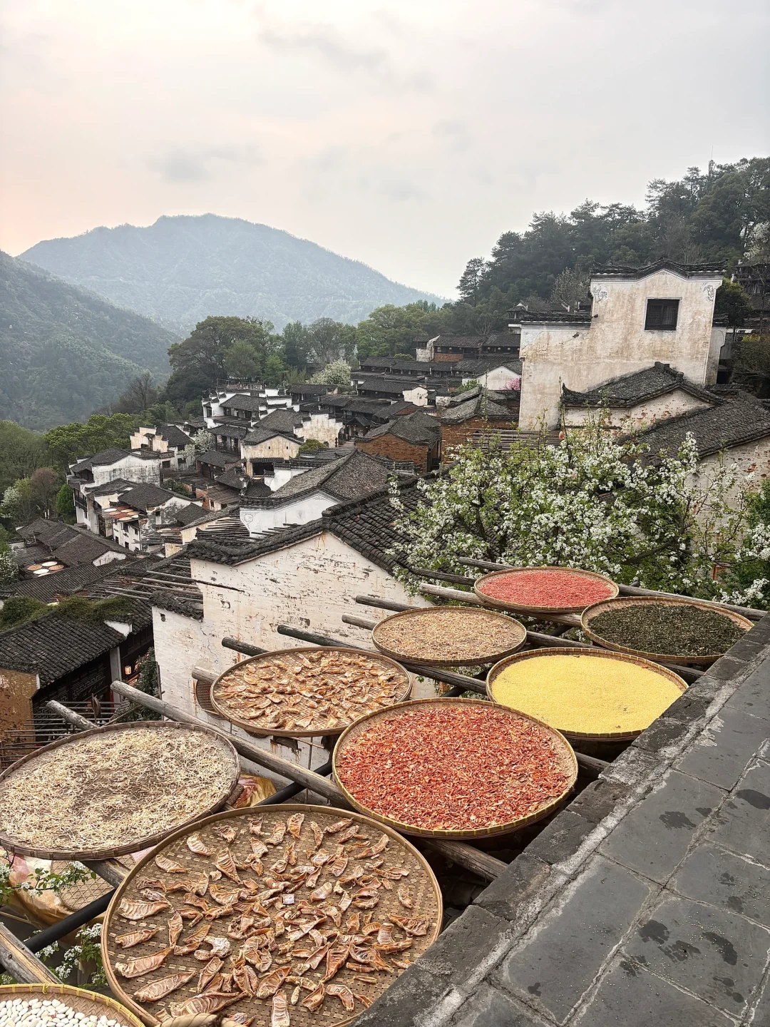 📍婺源·篁岭🌼晒个春🌿🍃