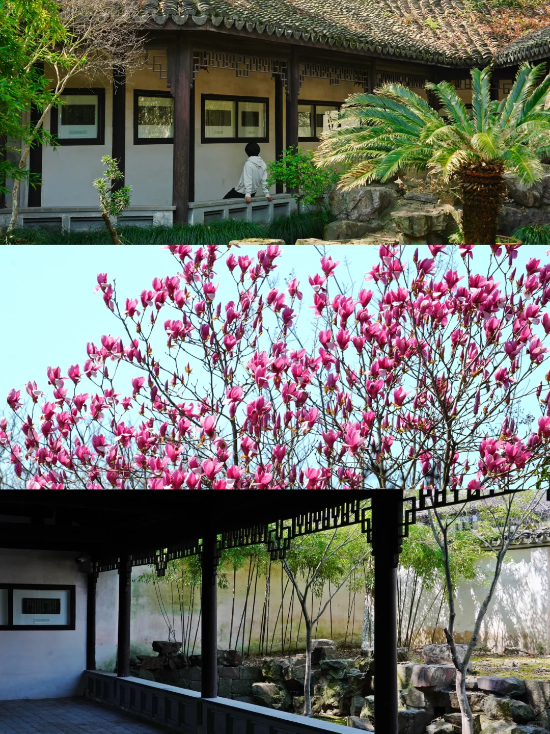 我很少用“潮”来形容一座小众古城！