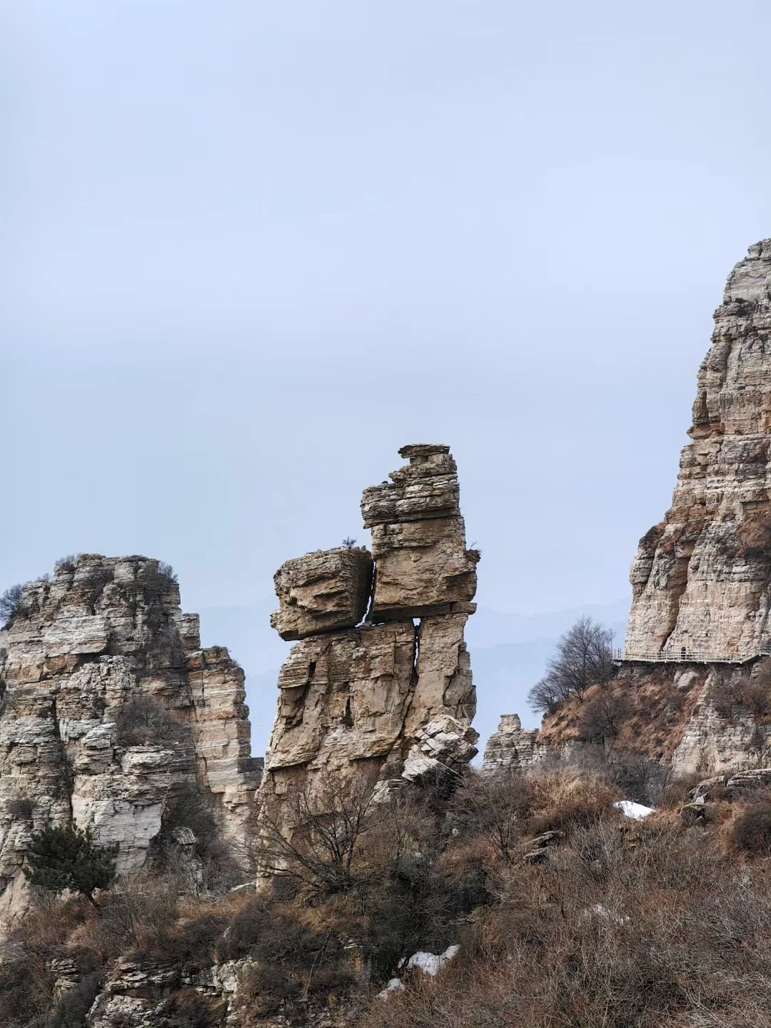 赏花、踏青、遛娃一键收藏!