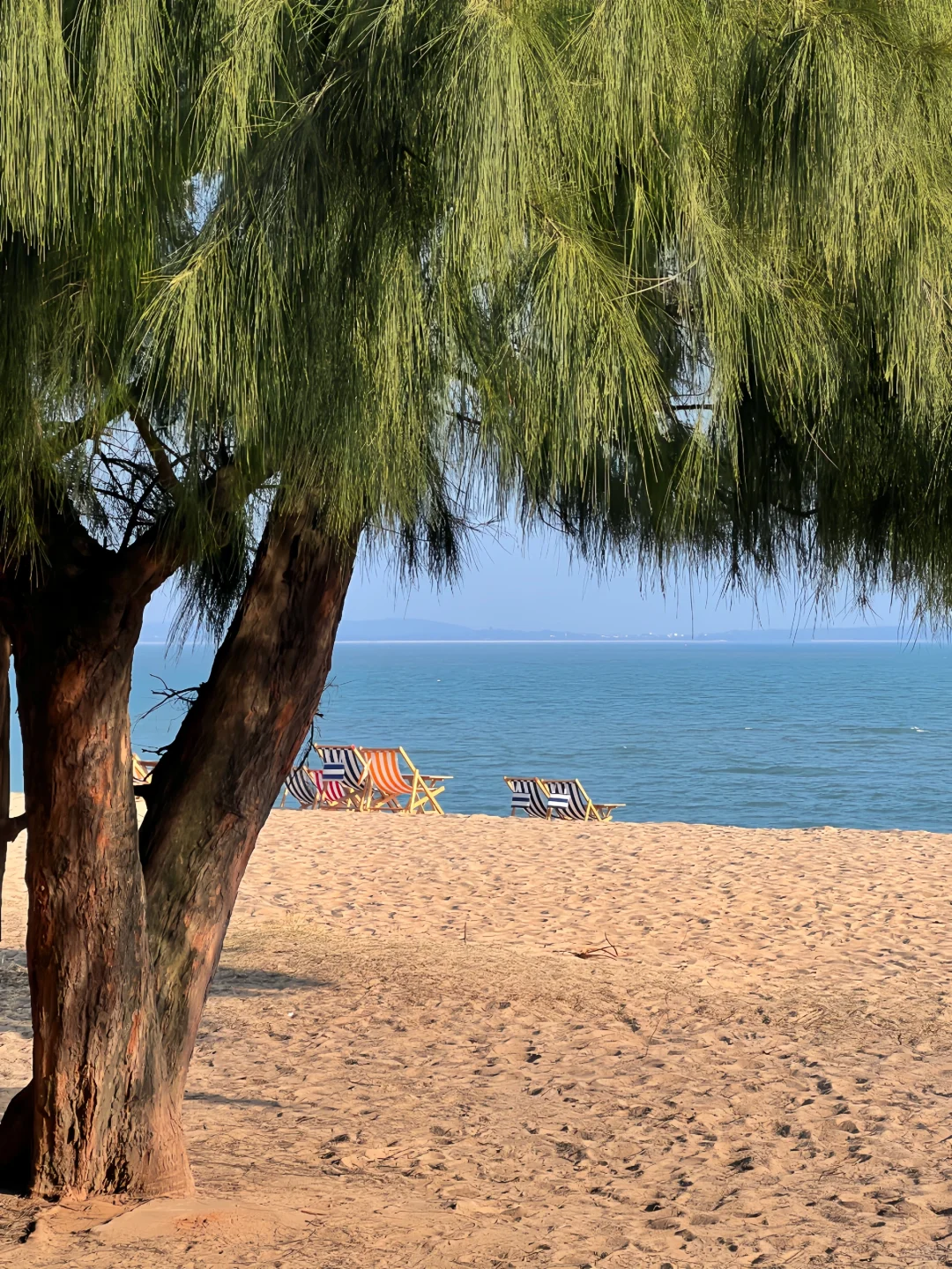 厦门｜用10张照片告诉你冬天的厦门有多美🥹