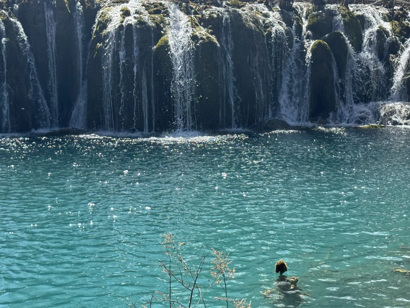 你一句青春没有售价…