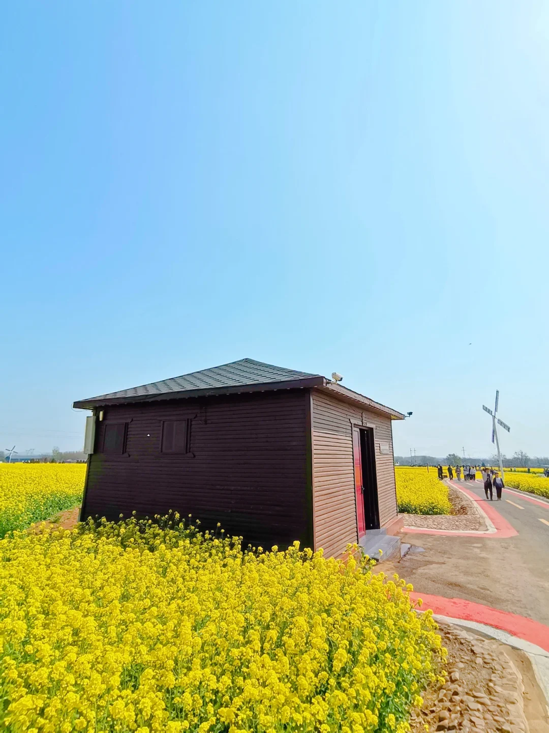 邯郸周边游：金沙河红薯岭万亩油菜花