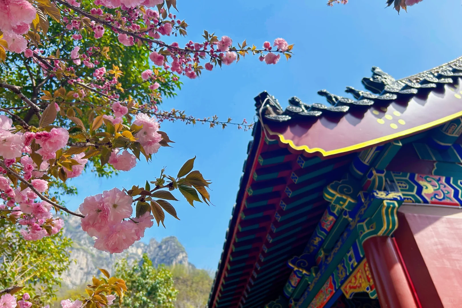 还有多少沁阳人没来过二仙庙？