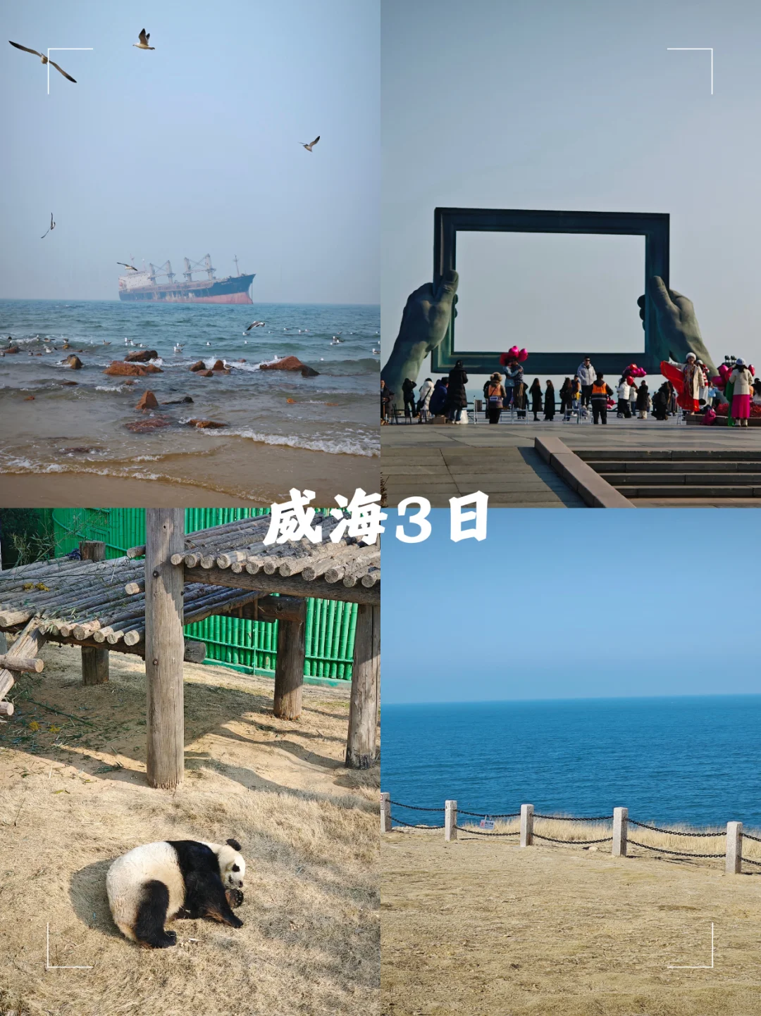 选择困难症犯了。。。清明去哪玩啊