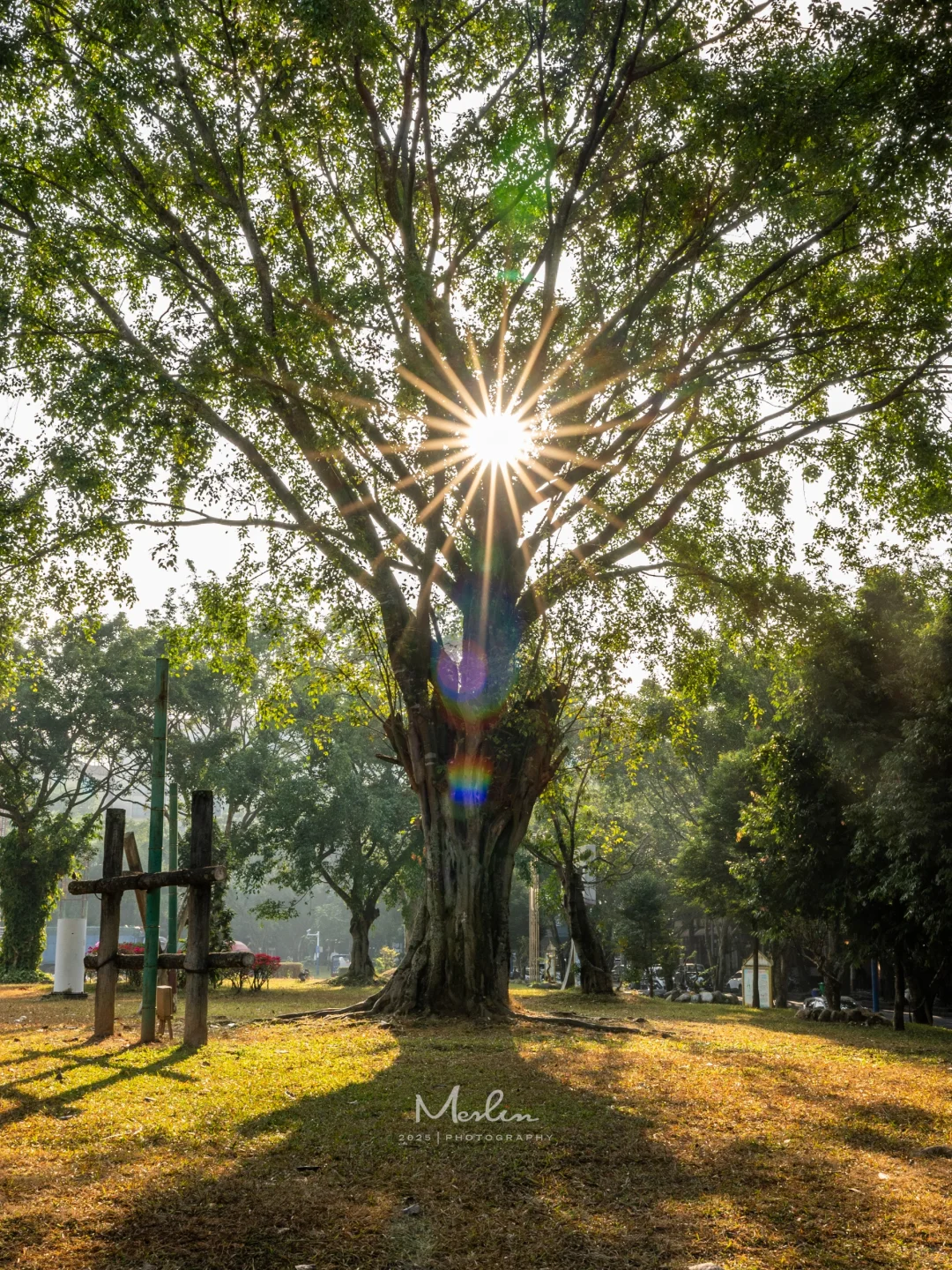 跟风成功了，芒市真的太好吃、太好逛了！
