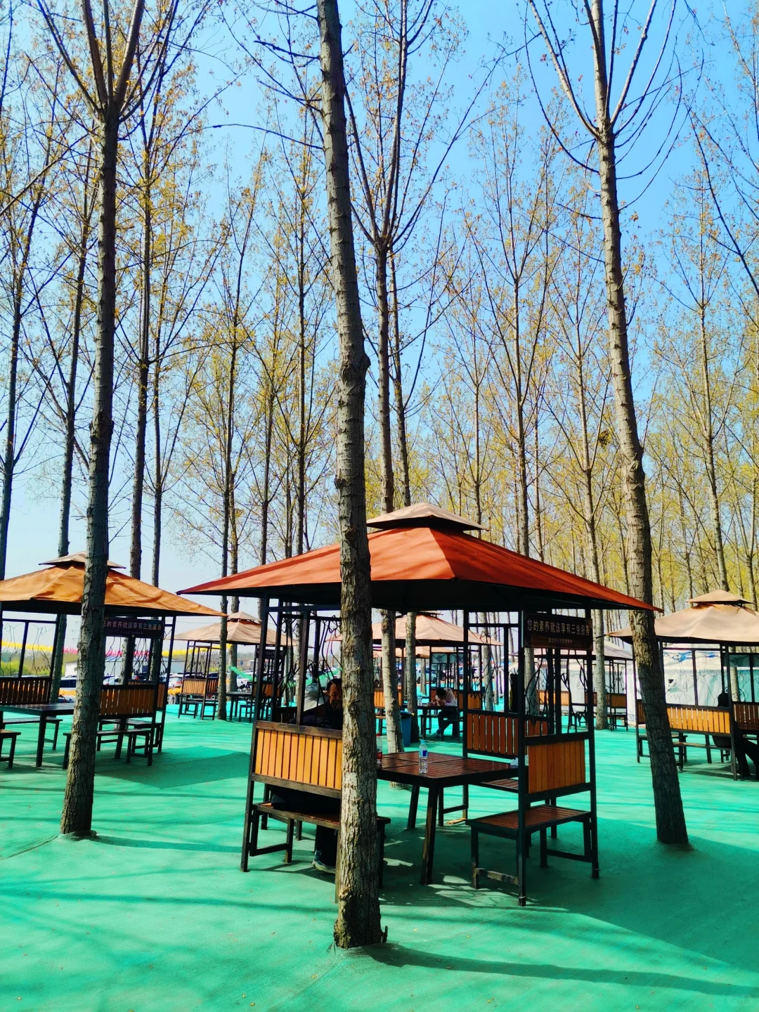 邯郸周边游：金沙河红薯岭万亩油菜花