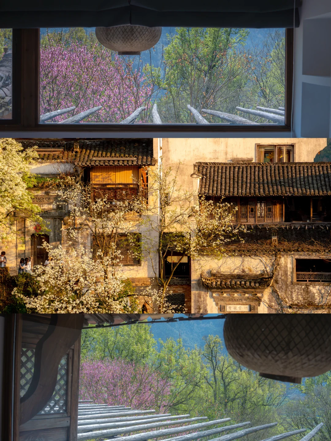 Live实况‼篁岭的春天美到封神！没有平替