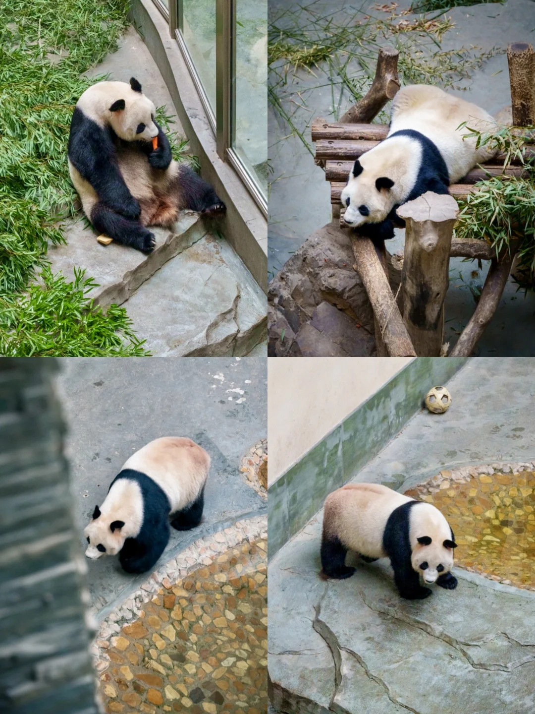 以为千岛湖够美了，直到我去了溧阳天目湖❗