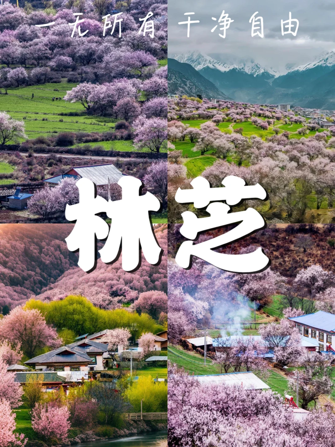 🌿 春天最值得去的10个城市