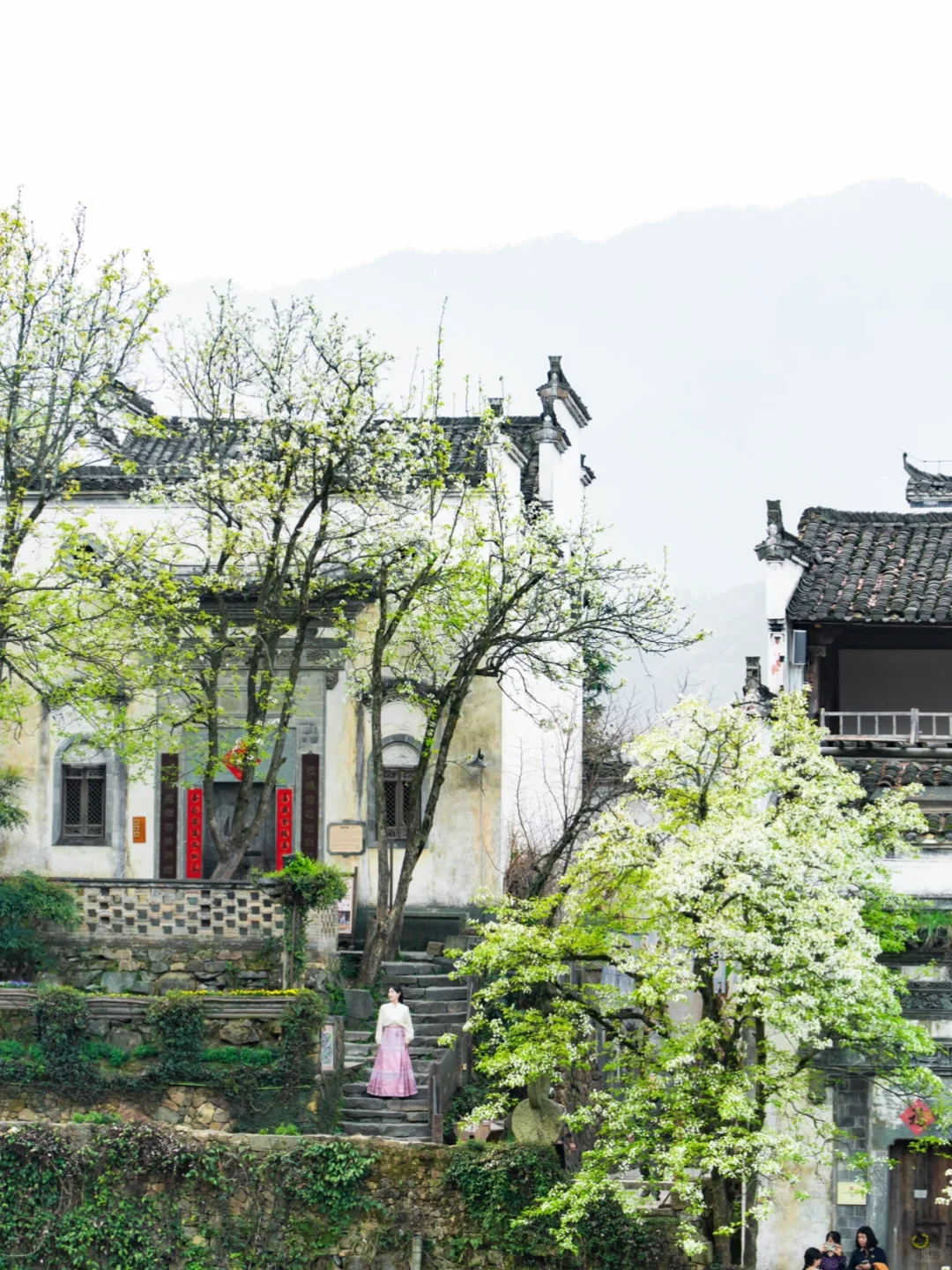 接下来的婺源篁岭🌼是漫山遍野的油菜花海‼️