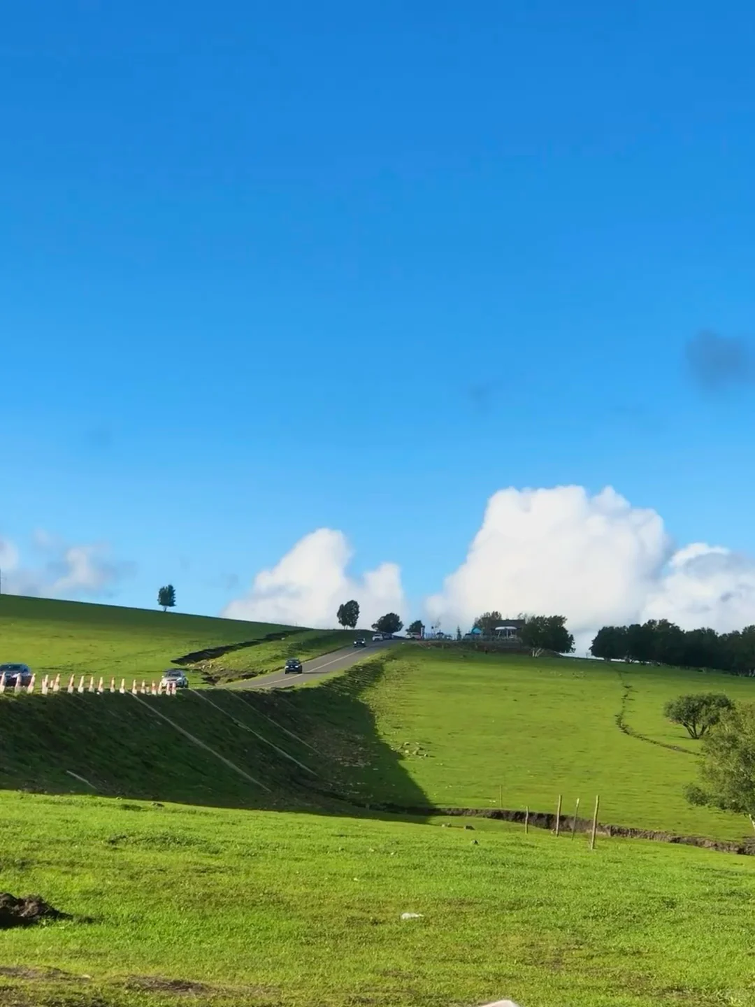 在乌兰布统的夏天，像是做了一场自由的梦～💙