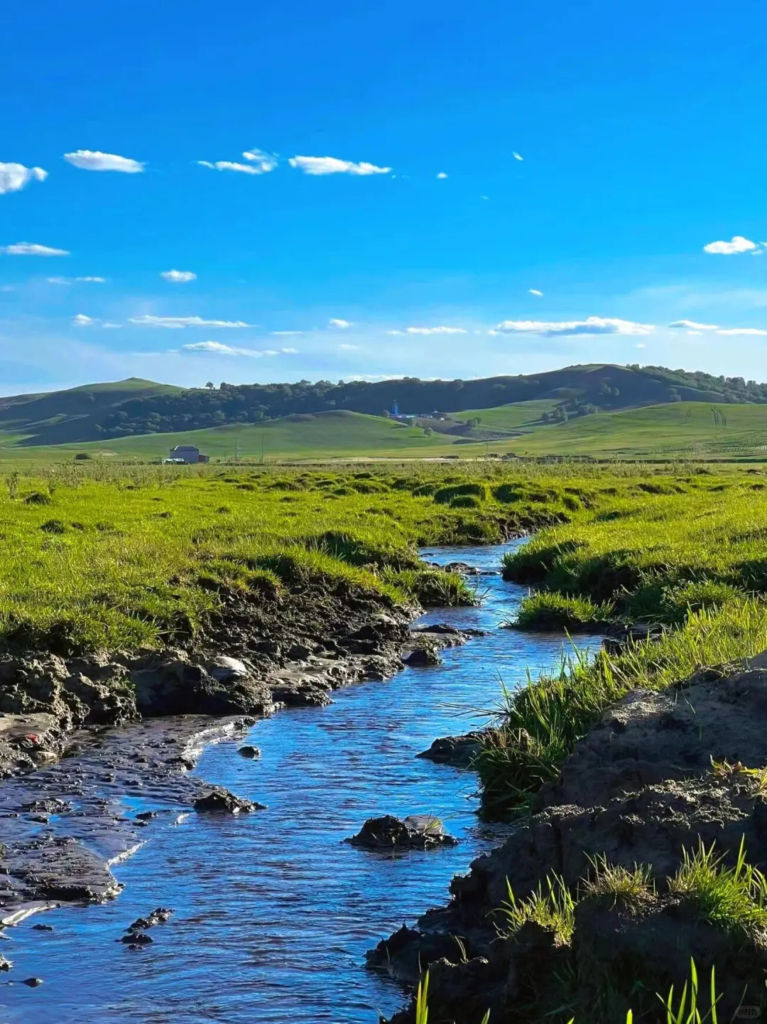 在乌兰布统的夏天，像是做了一场自由的梦～💙