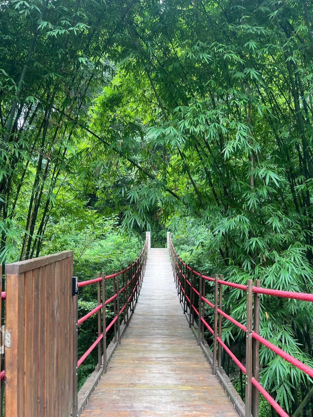 成都!青城山!树景房好city呀!美哭了