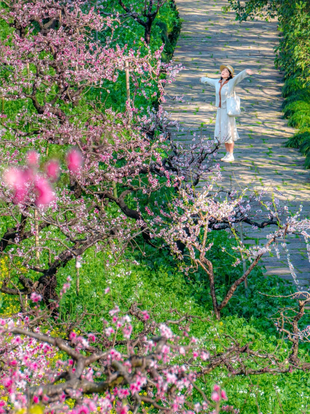 可惜你不来湖州，不知道满坡的花海有多美🌼