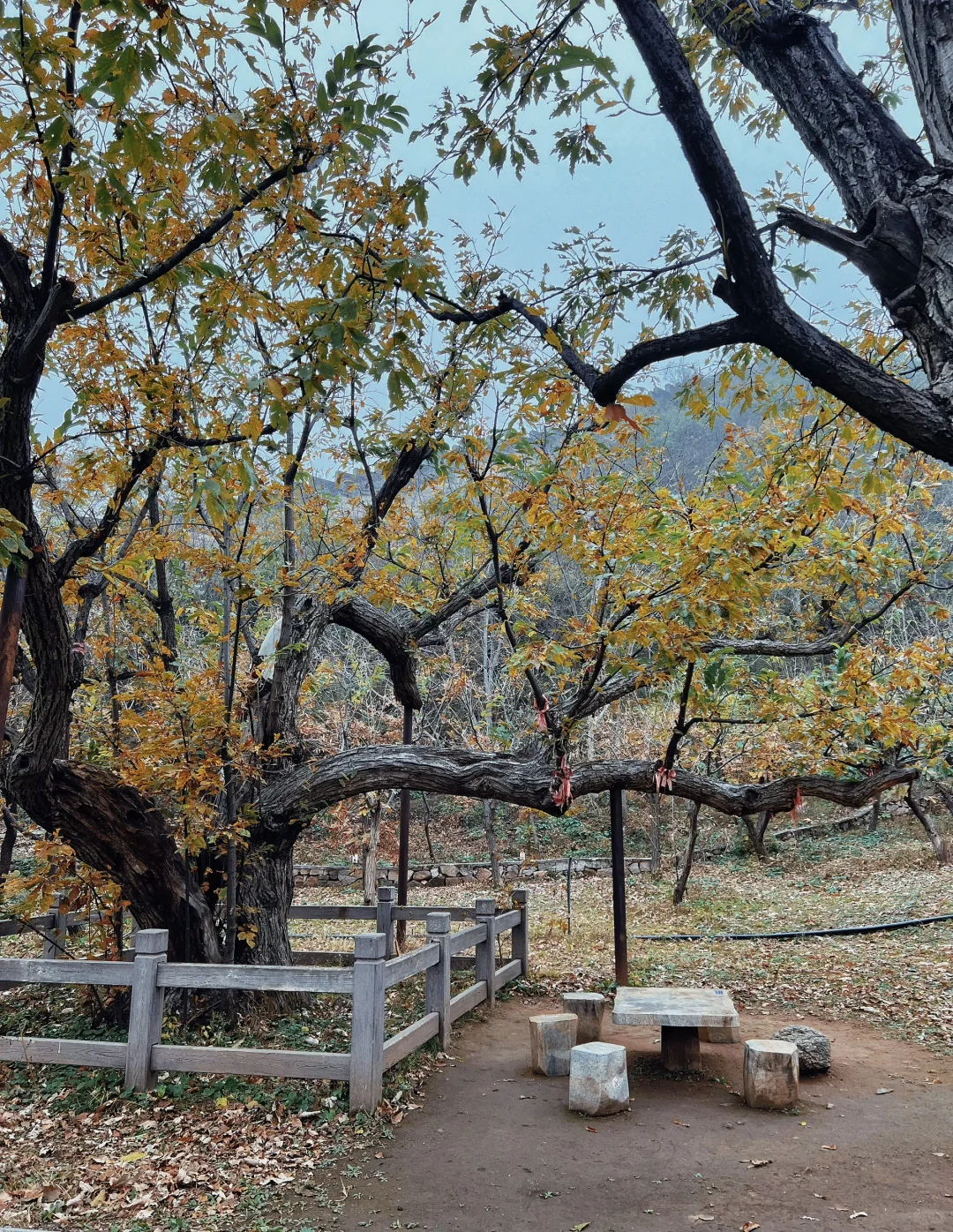 终于明白为什么都推荐黄花城水长城了
