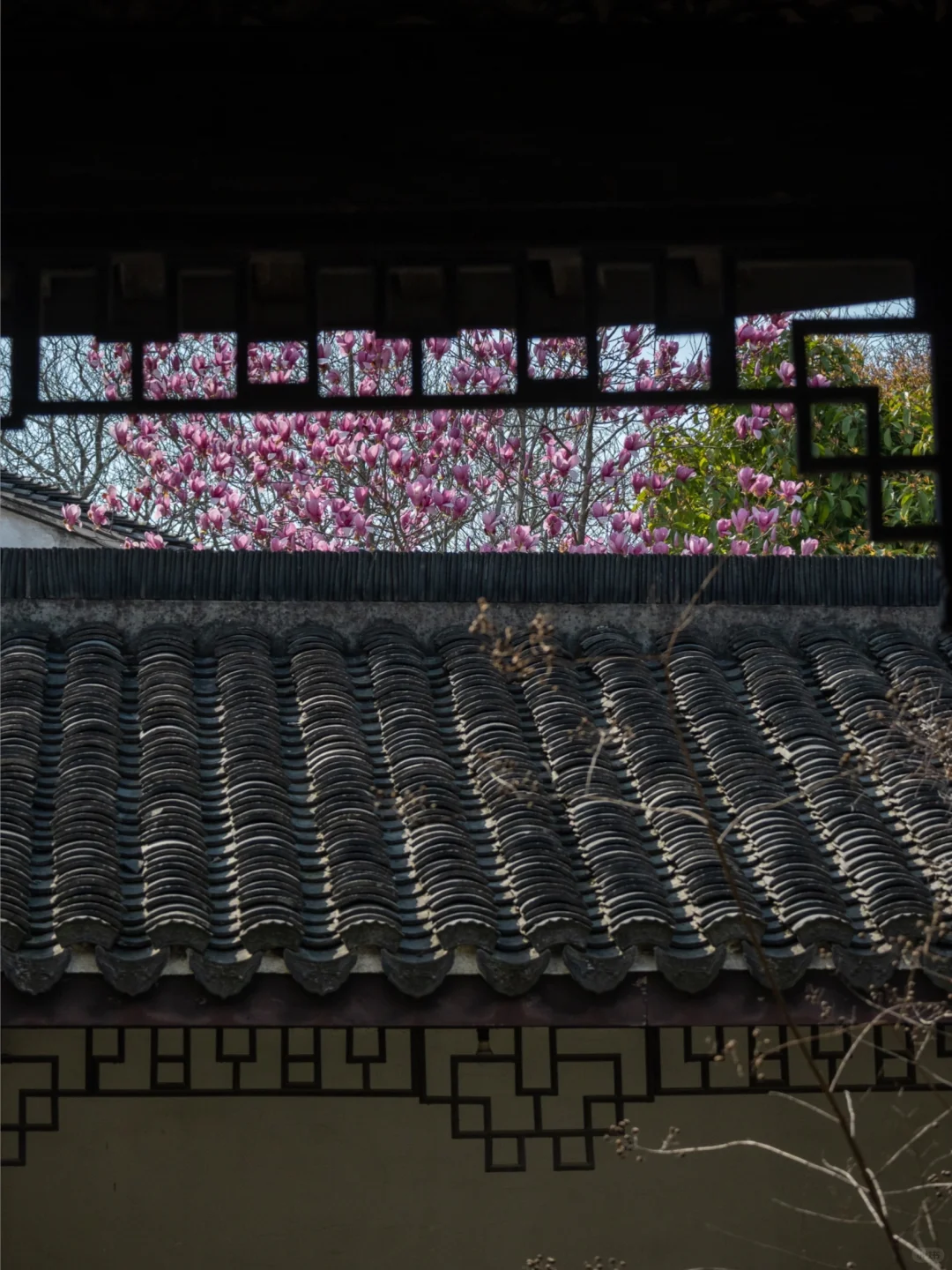 嘉兴海宁盐官旅游攻略来了⛵️走乾隆春游路线