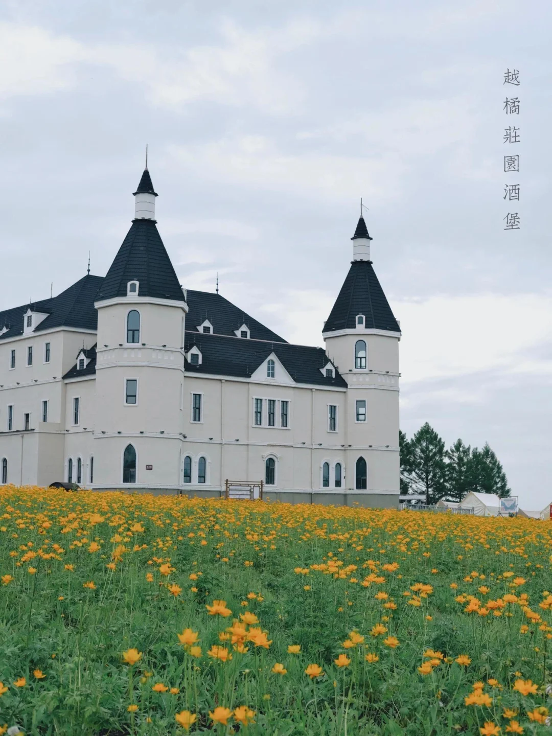 不用去新疆，北方这里也有属于新疆的阿勒泰