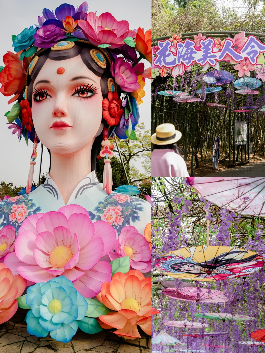 苏州亲子游🌸太湖春季徒步赏花2天行程