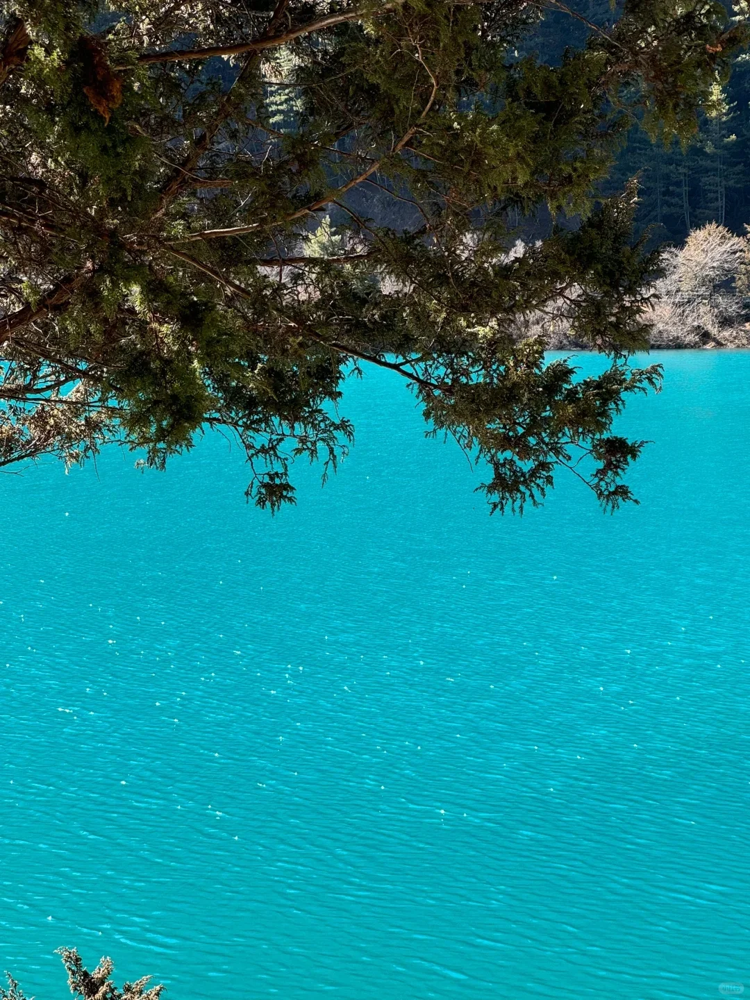 3.28📍淡季九寨沟已回，附游玩时间线