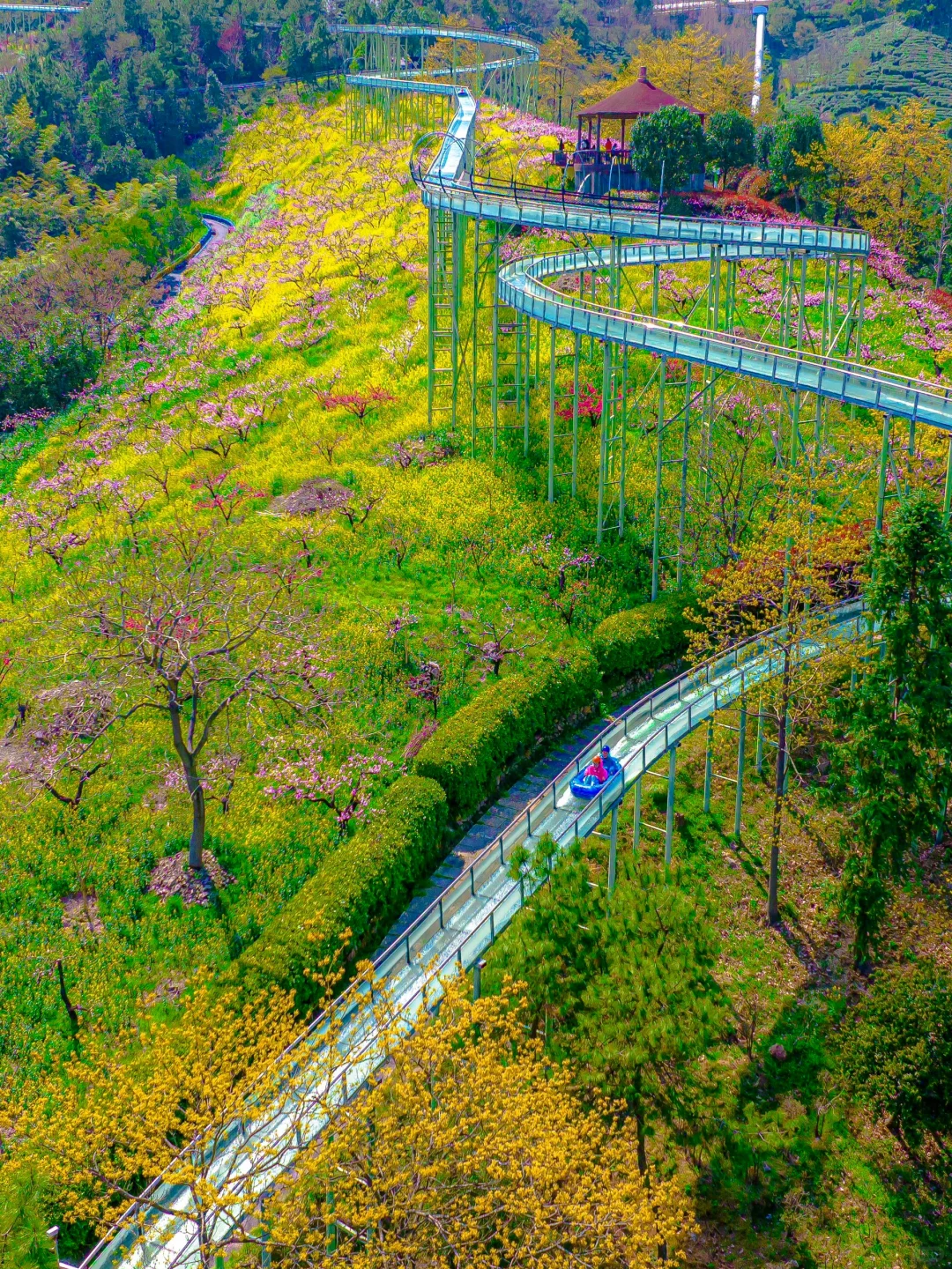 可惜你不来湖州，不知道满坡的花海有多美🌼