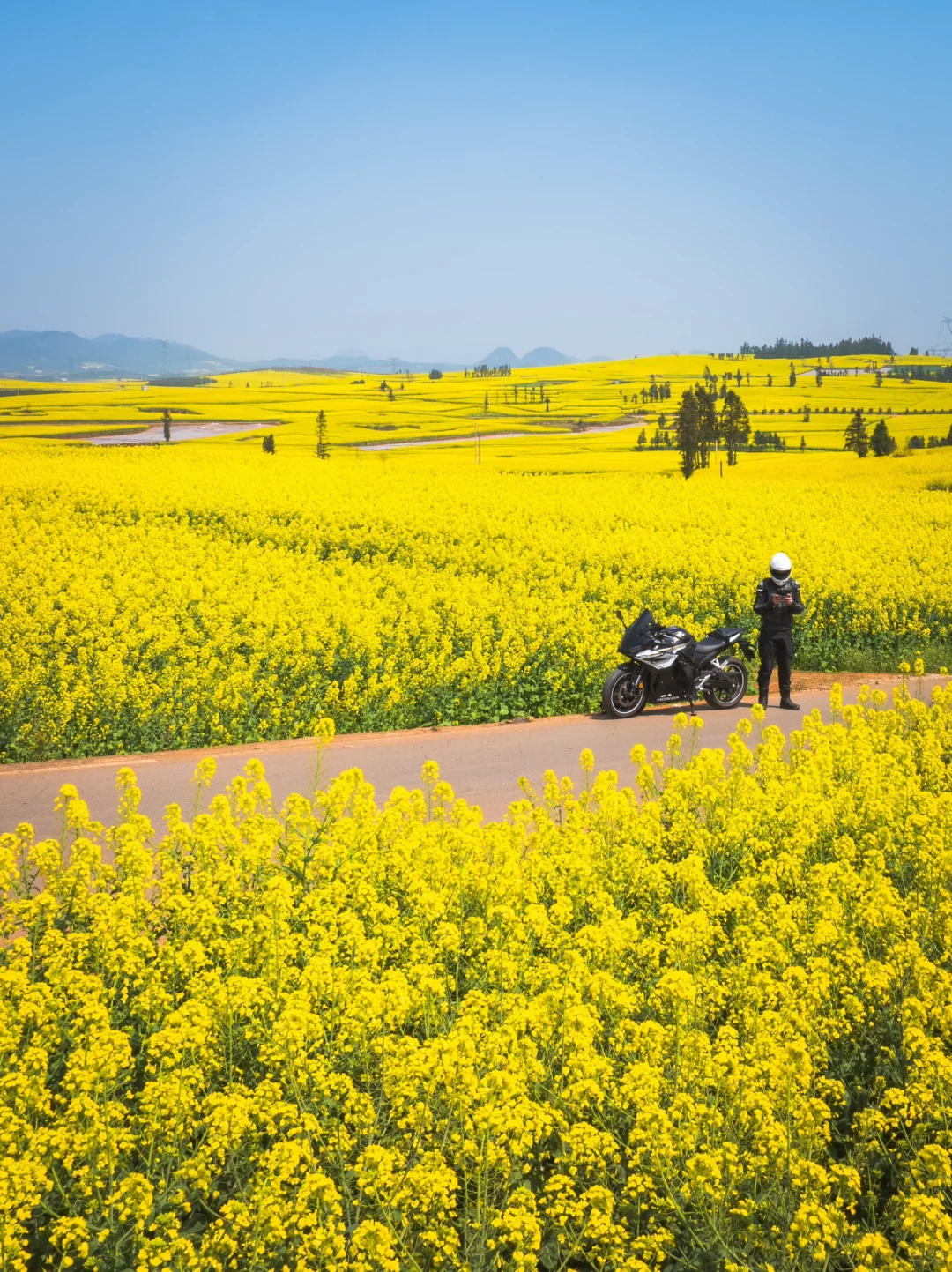 🌼云南罗平的三月，如同闯入画中