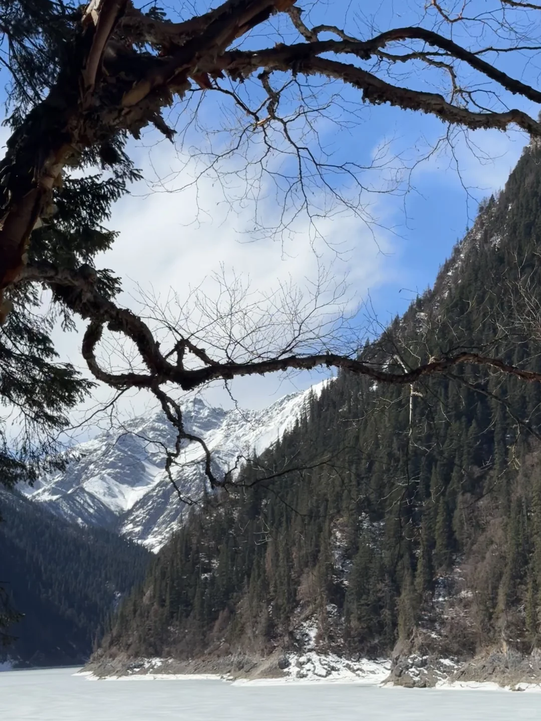 你一句青春没有售价…