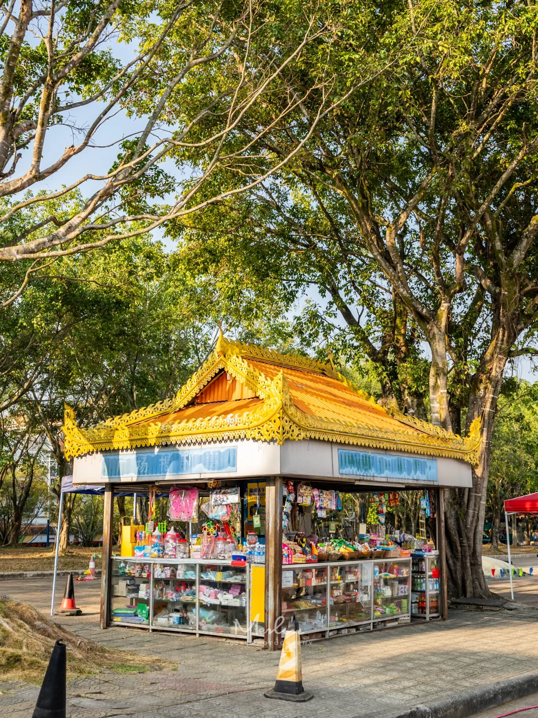 跟风成功了，芒市真的太好吃、太好逛了！