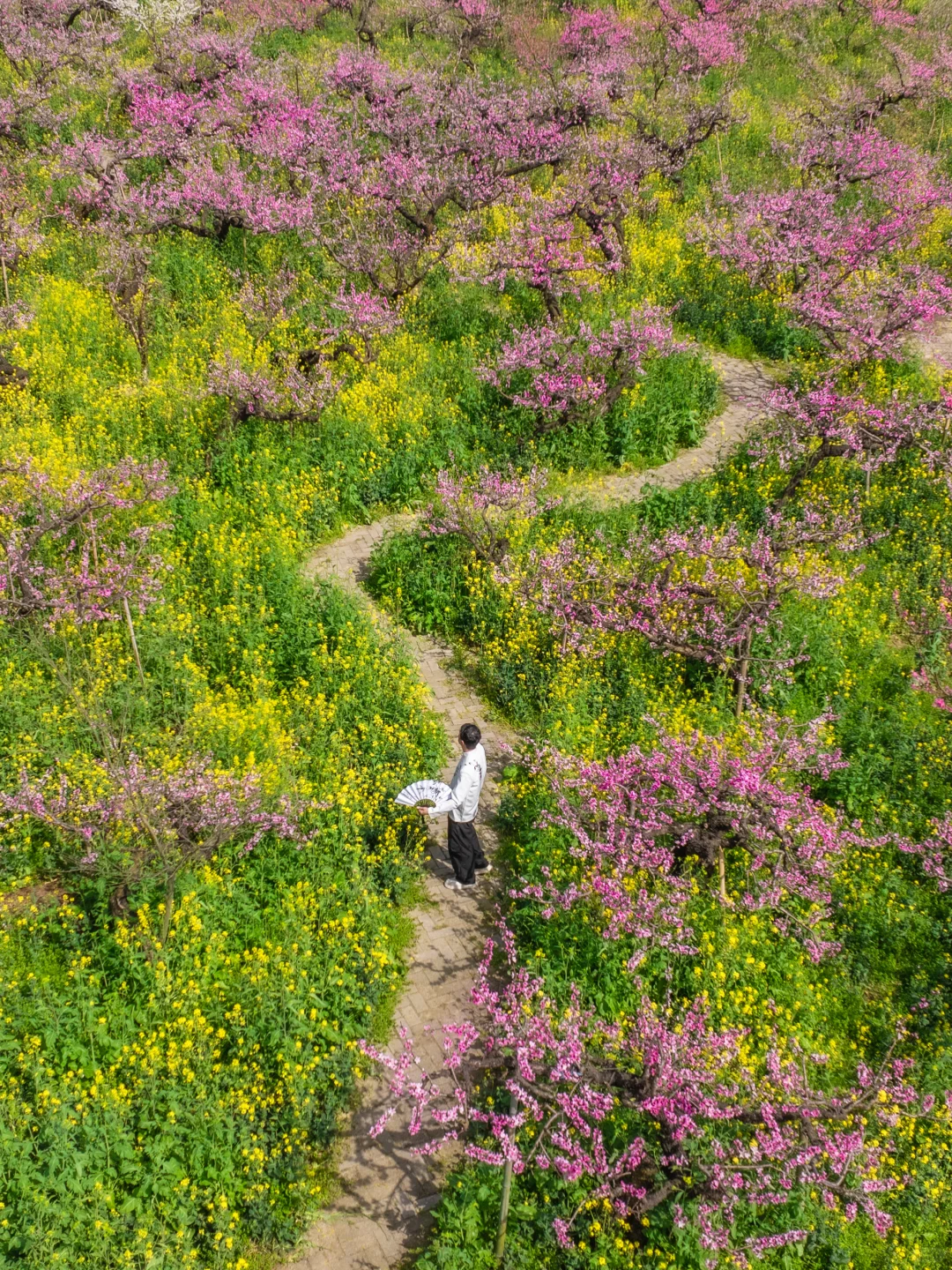 在小红书跟风最成功的一次‼️湖州小众花海