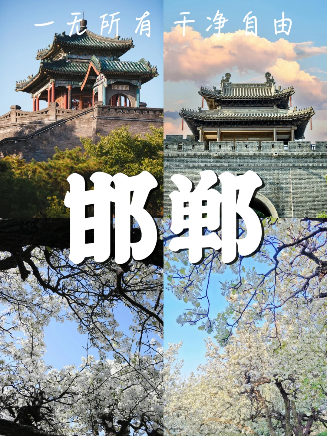 🌿 春天最值得去的10个城市