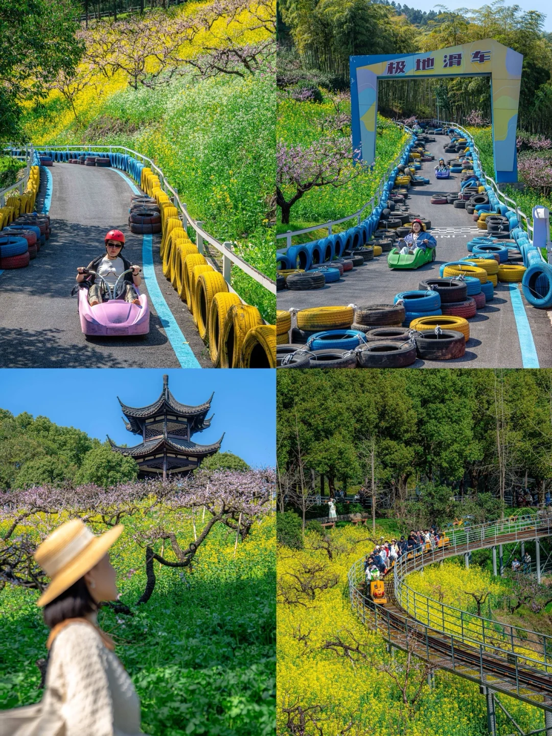 可惜你不来湖州，不知道满坡的花海有多美🌼