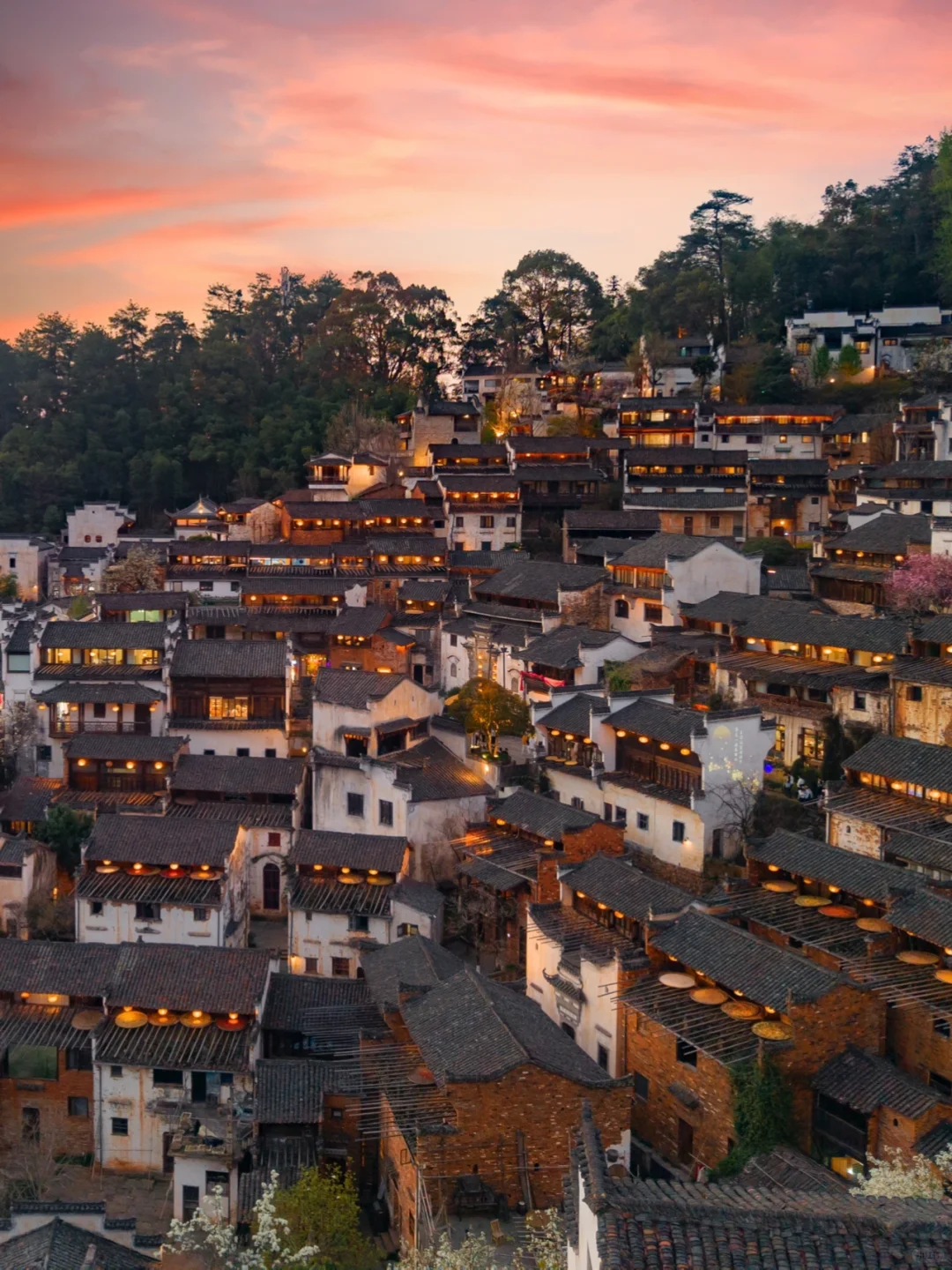 接下来的婺源篁岭🌼是漫山遍野的油菜花海‼️