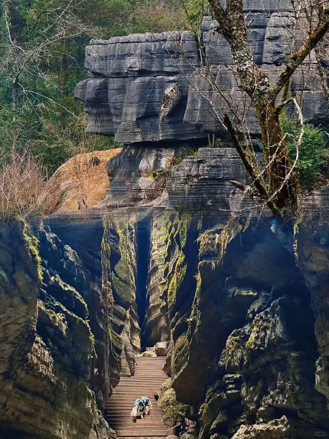 梭布垭石林反向暴走攻略！318地标+空镜