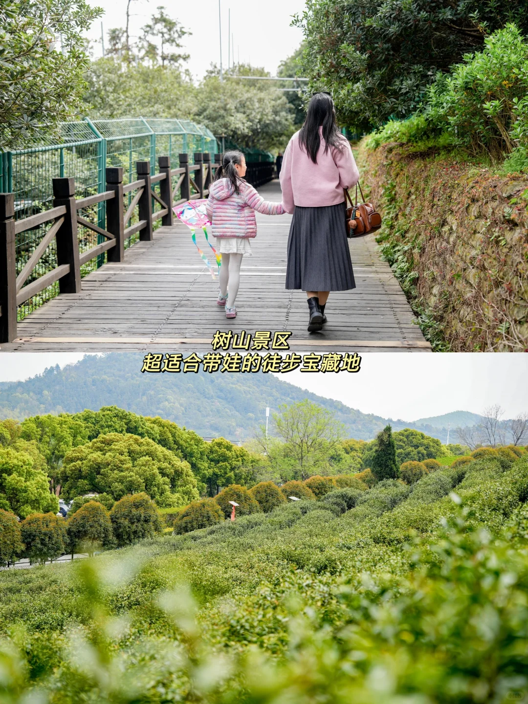 苏州亲子游🌸太湖春季徒步赏花2天行程