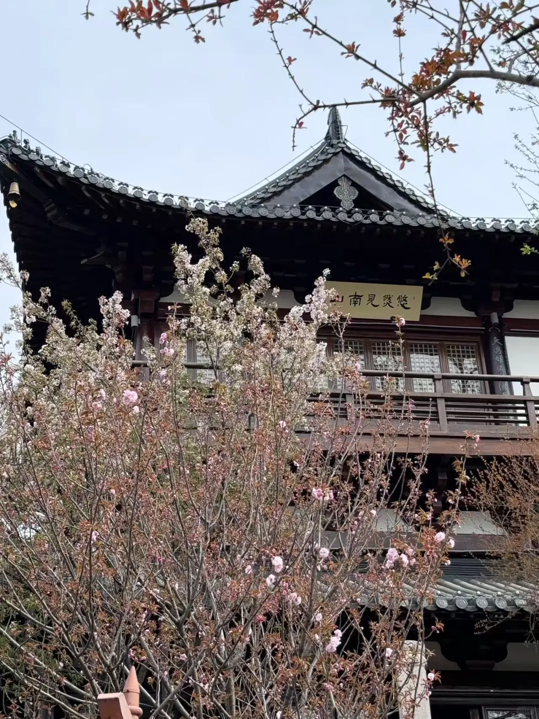 旗亭问酒，萧寺寻茶