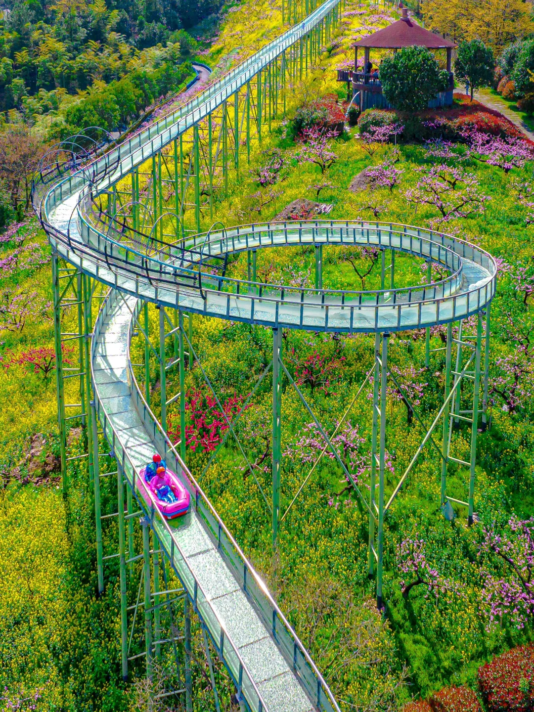 可惜你不来湖州，不知道满坡的花海有多美🌼