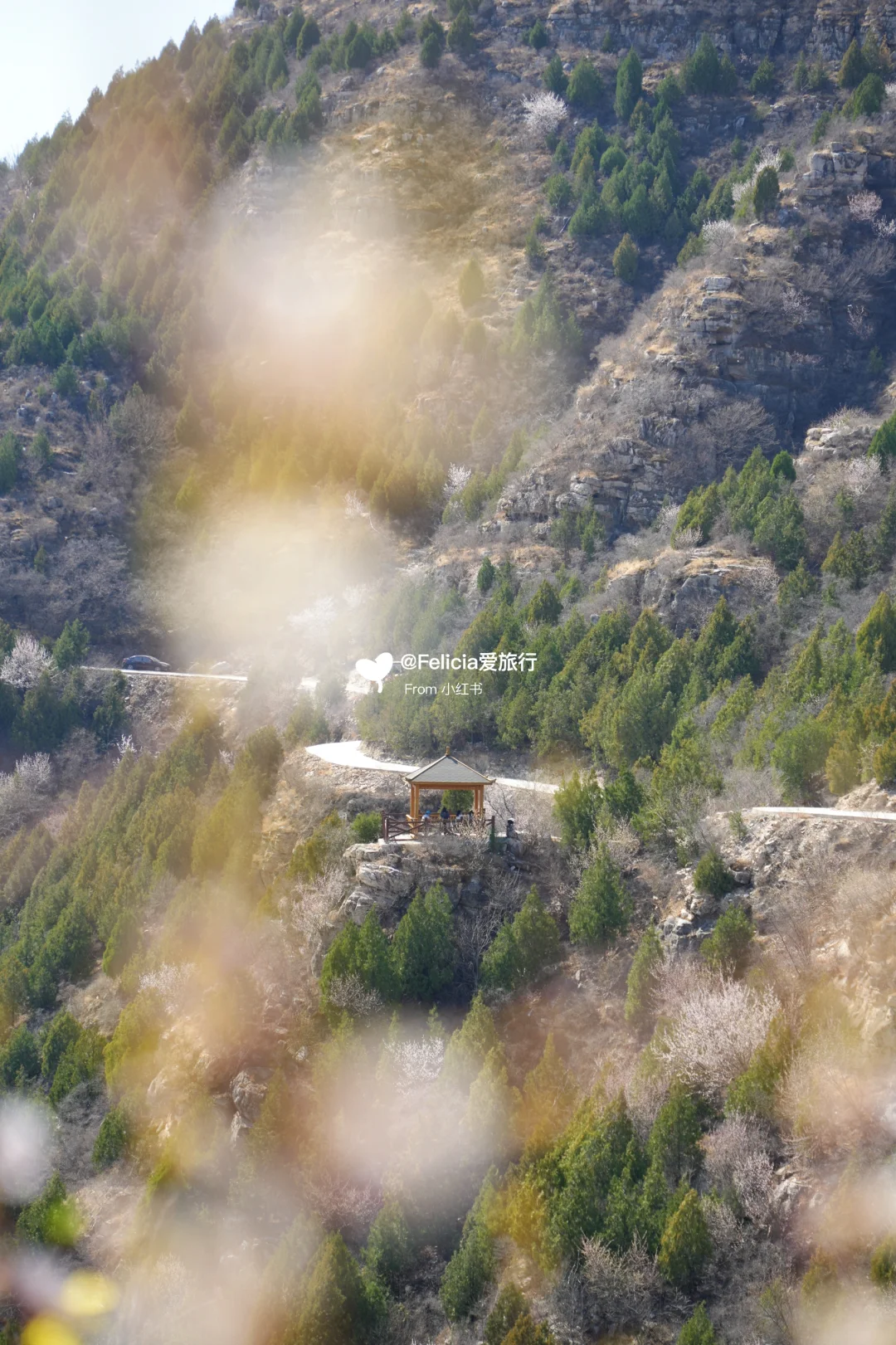 北京中山寺 | 山寺桃花始盛开🌸徒步赏花💯