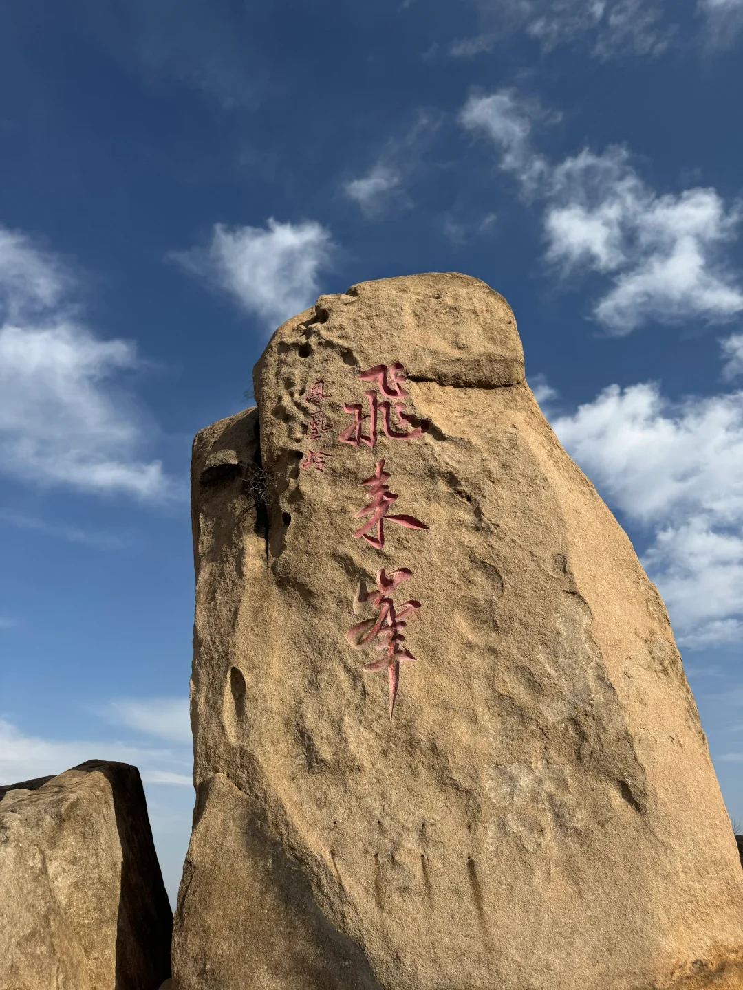 真正的春光敢于无滤镜直出live photo