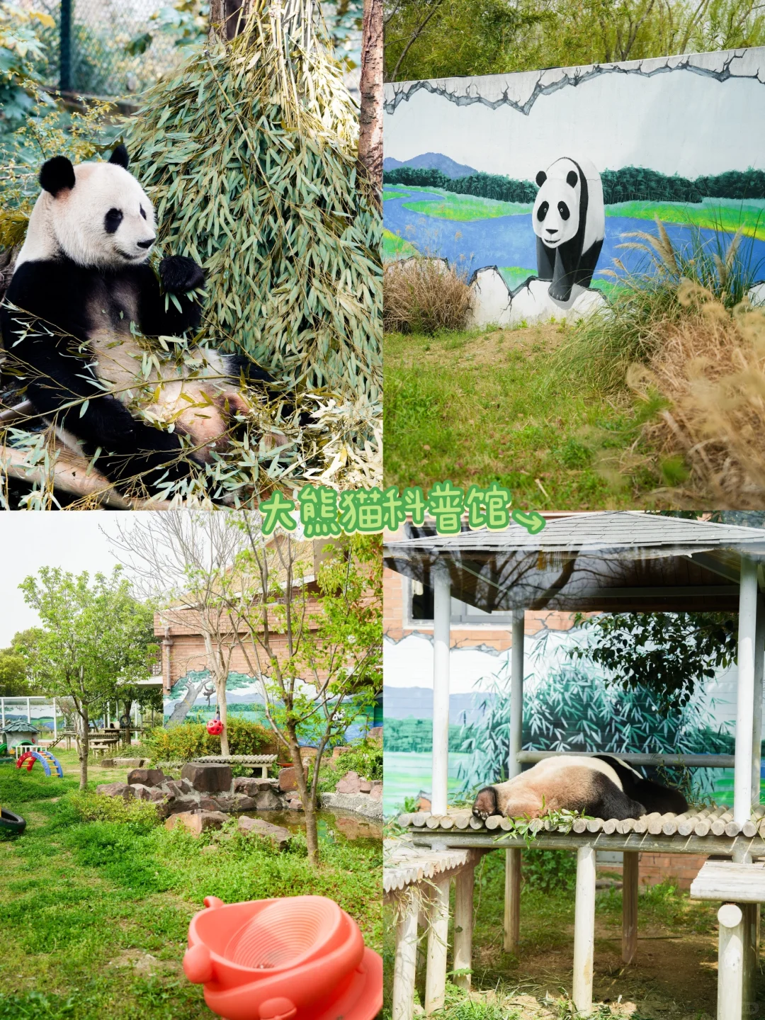 苏州亲子游🌸太湖春季徒步赏花2天行程