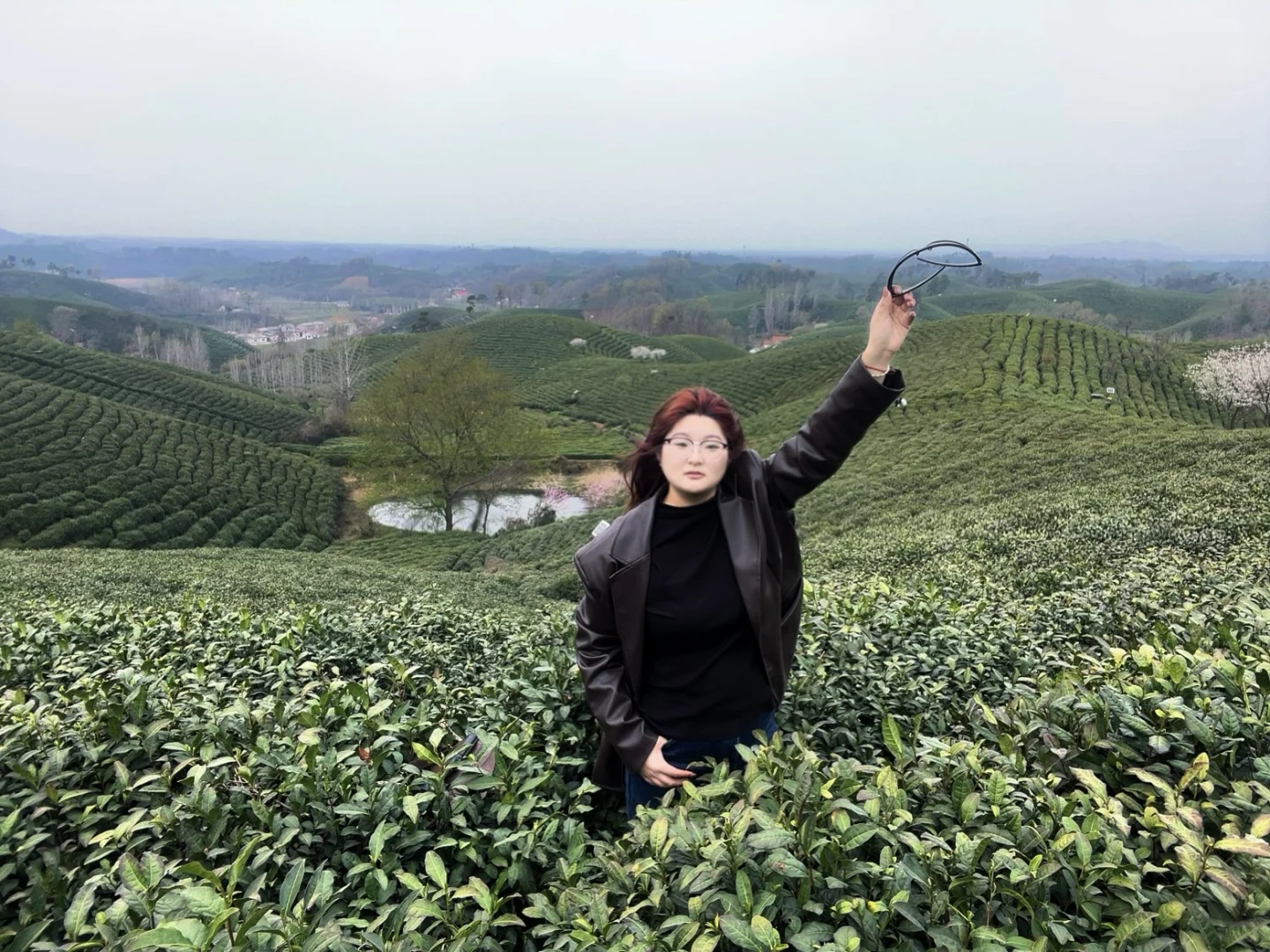 来文新茶村 看中国茶海🍃