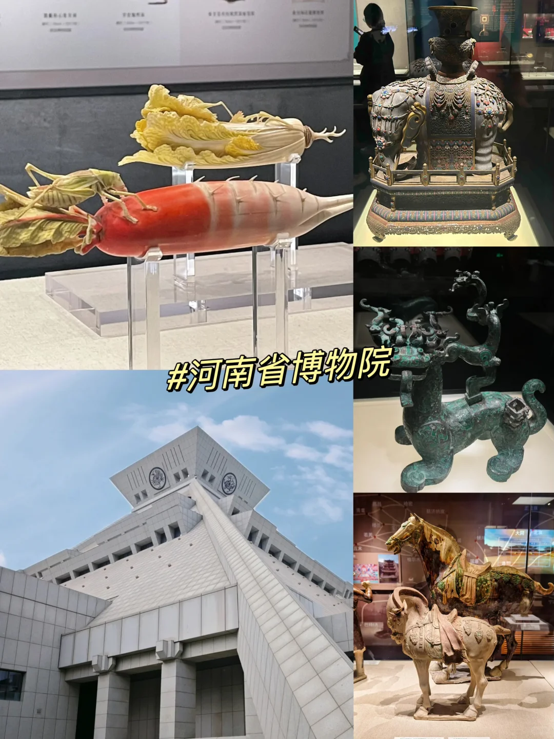 晋城—郑州，不花钱city walk 一日游！！