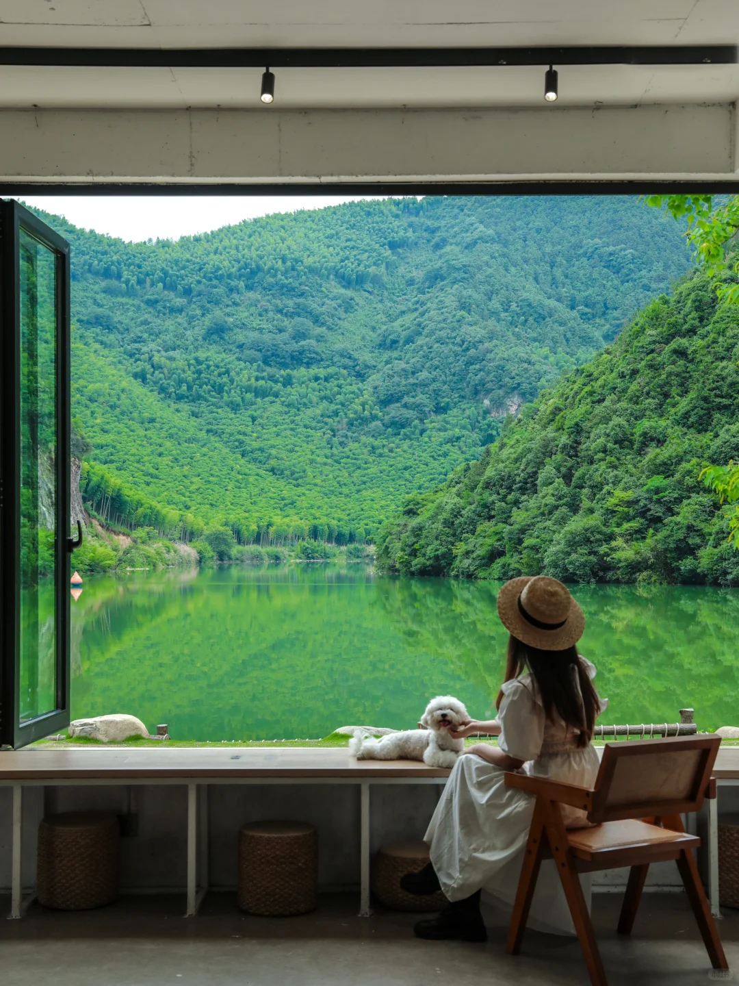 “西湖太拥挤，我选择退隐安吉上春山”🌿