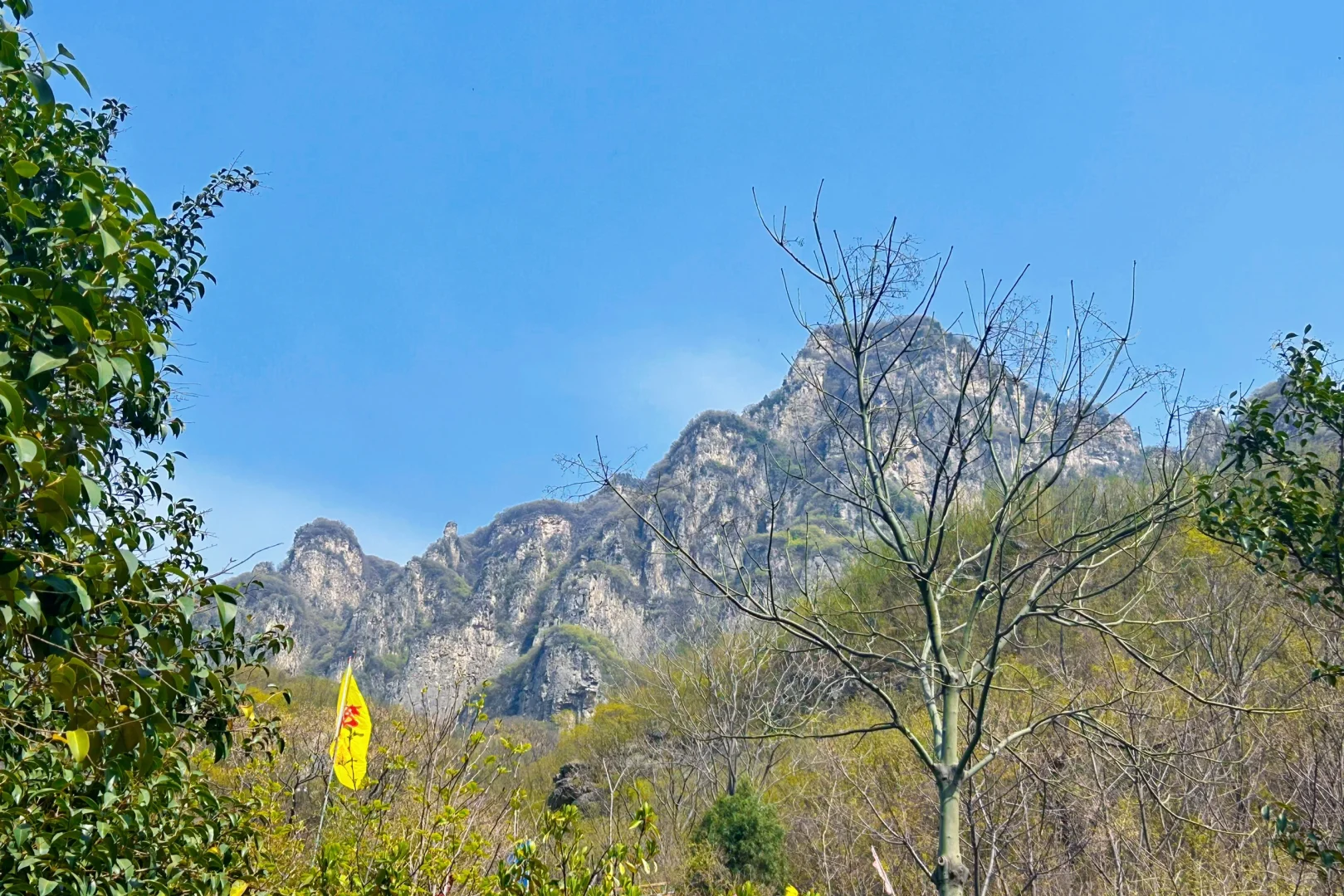 还有多少沁阳人没来过二仙庙？