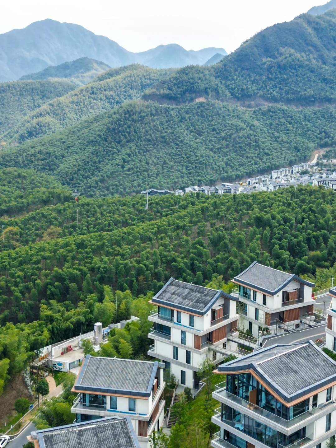 “西湖太拥挤，我选择退隐安吉上春山”🌿
