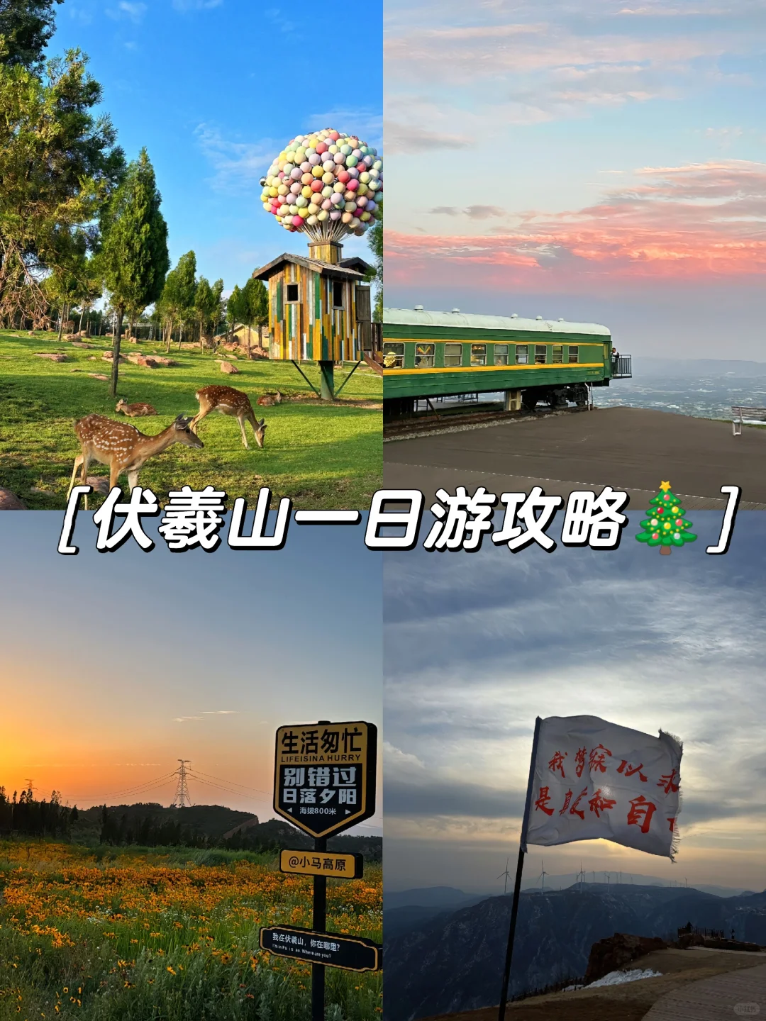 伏羲山一日游避坑指南✨