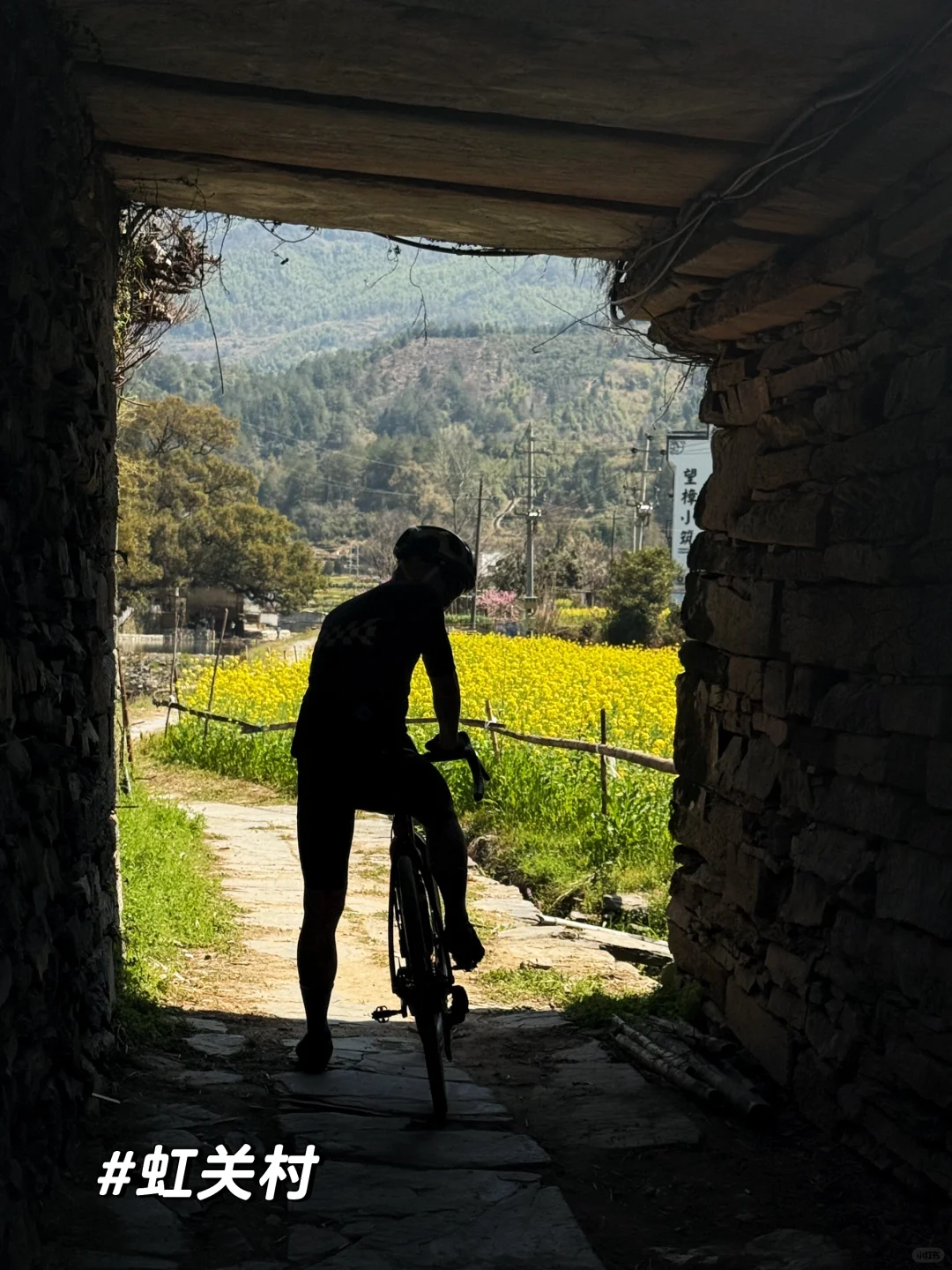 一日看尽婺源花:油菜花海骑游全攻略